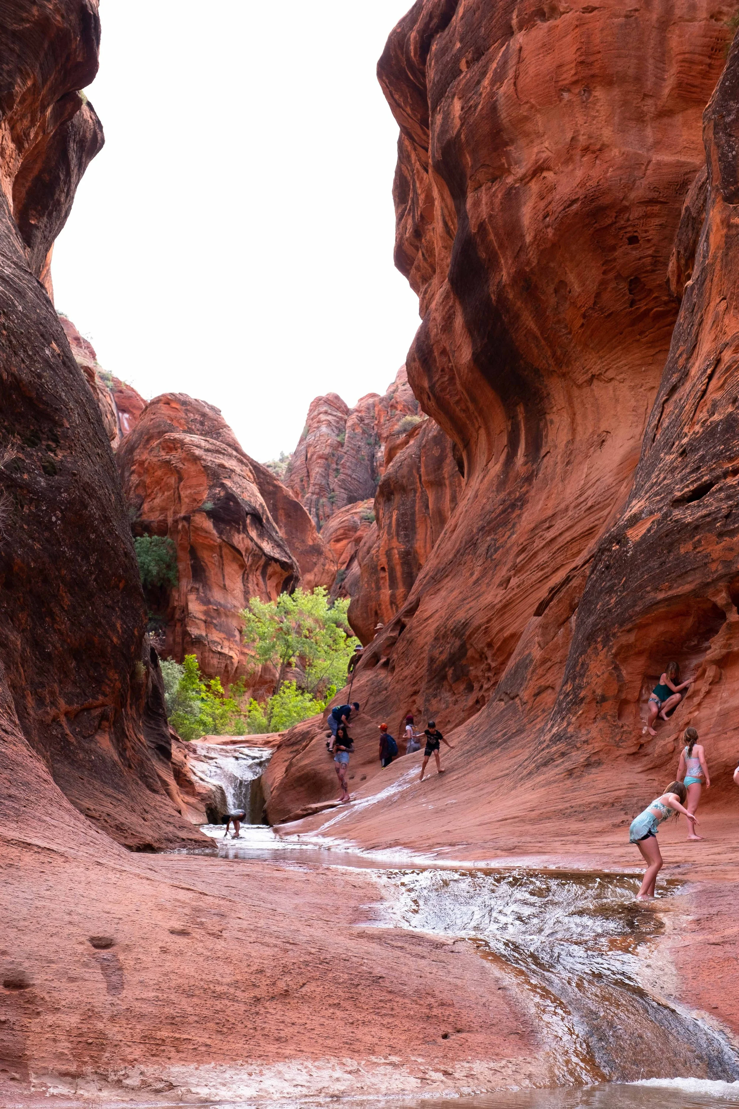 Children play in shallow water surrounded by red cliffs at Red Reef Trail.