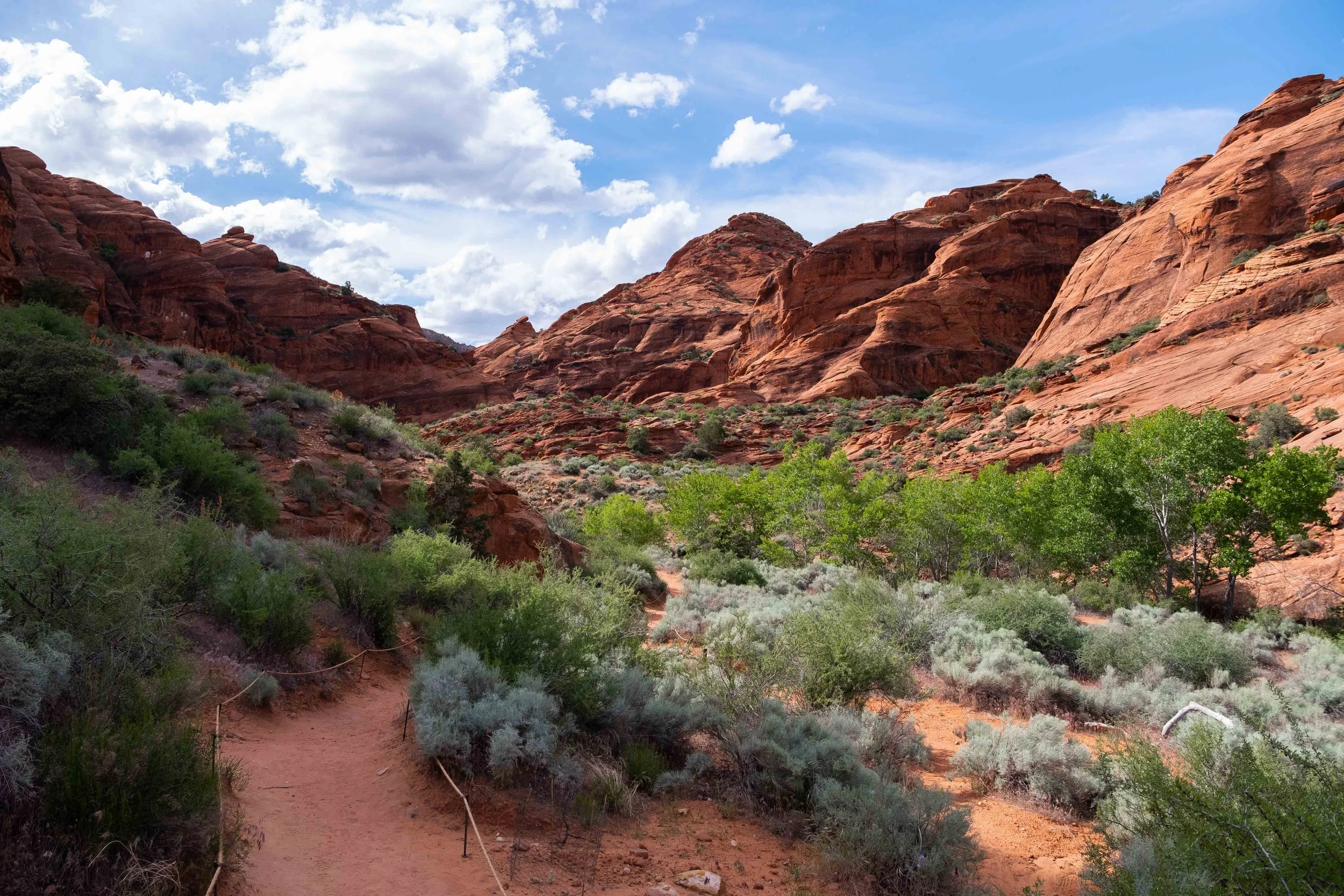 Red Reef Trail winds through a stunning desert landscape.
