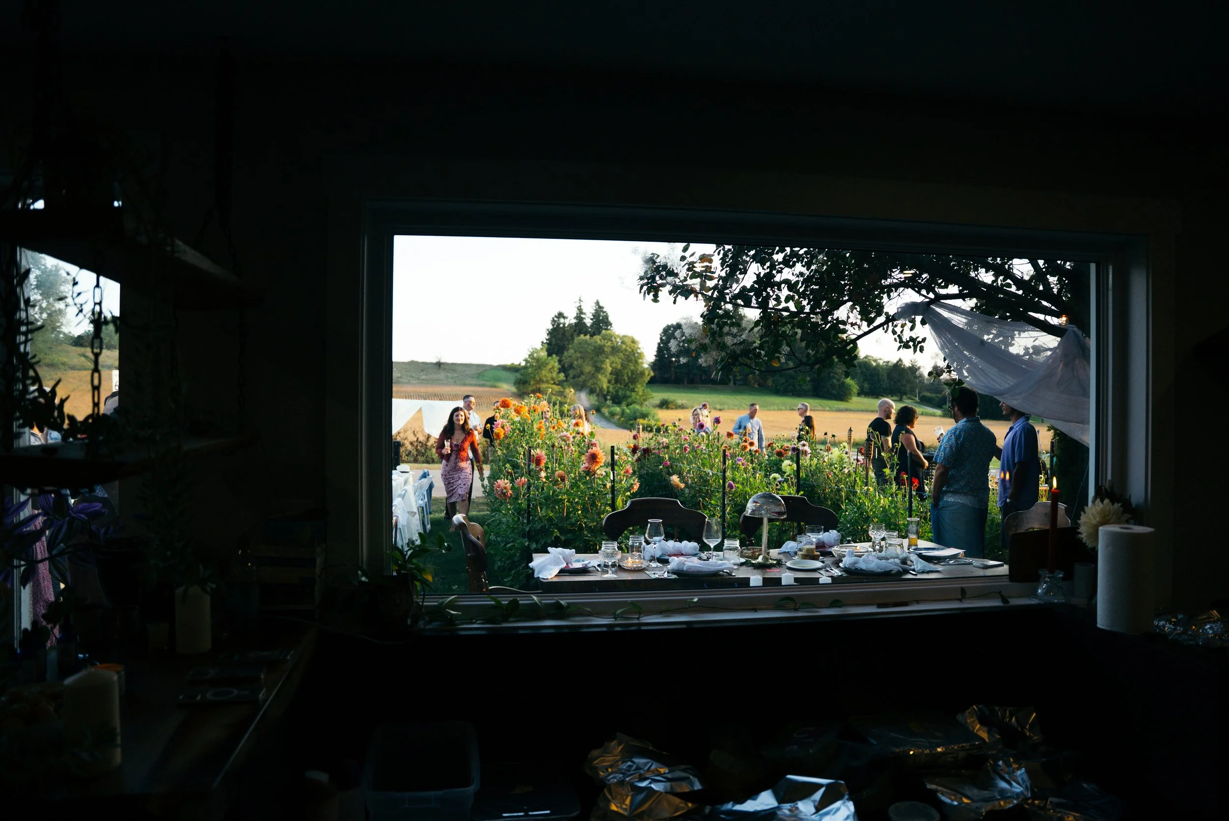 DSC08249.jpg