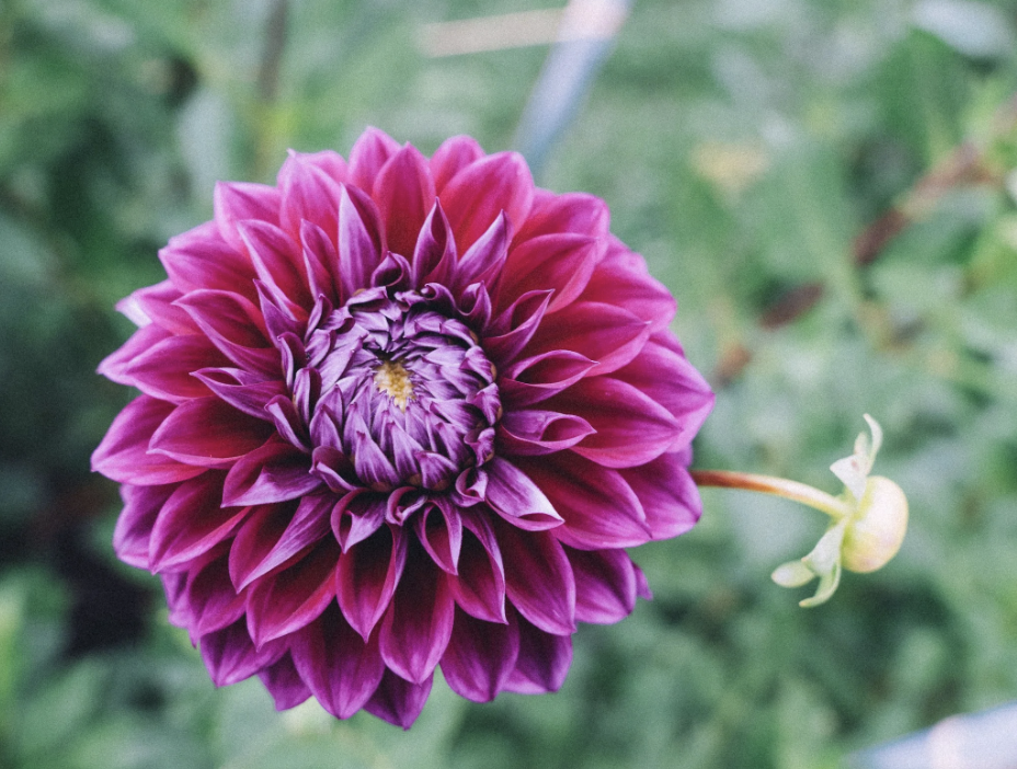 Screenshot 2026-02-27 at 11.41.12 AM.png