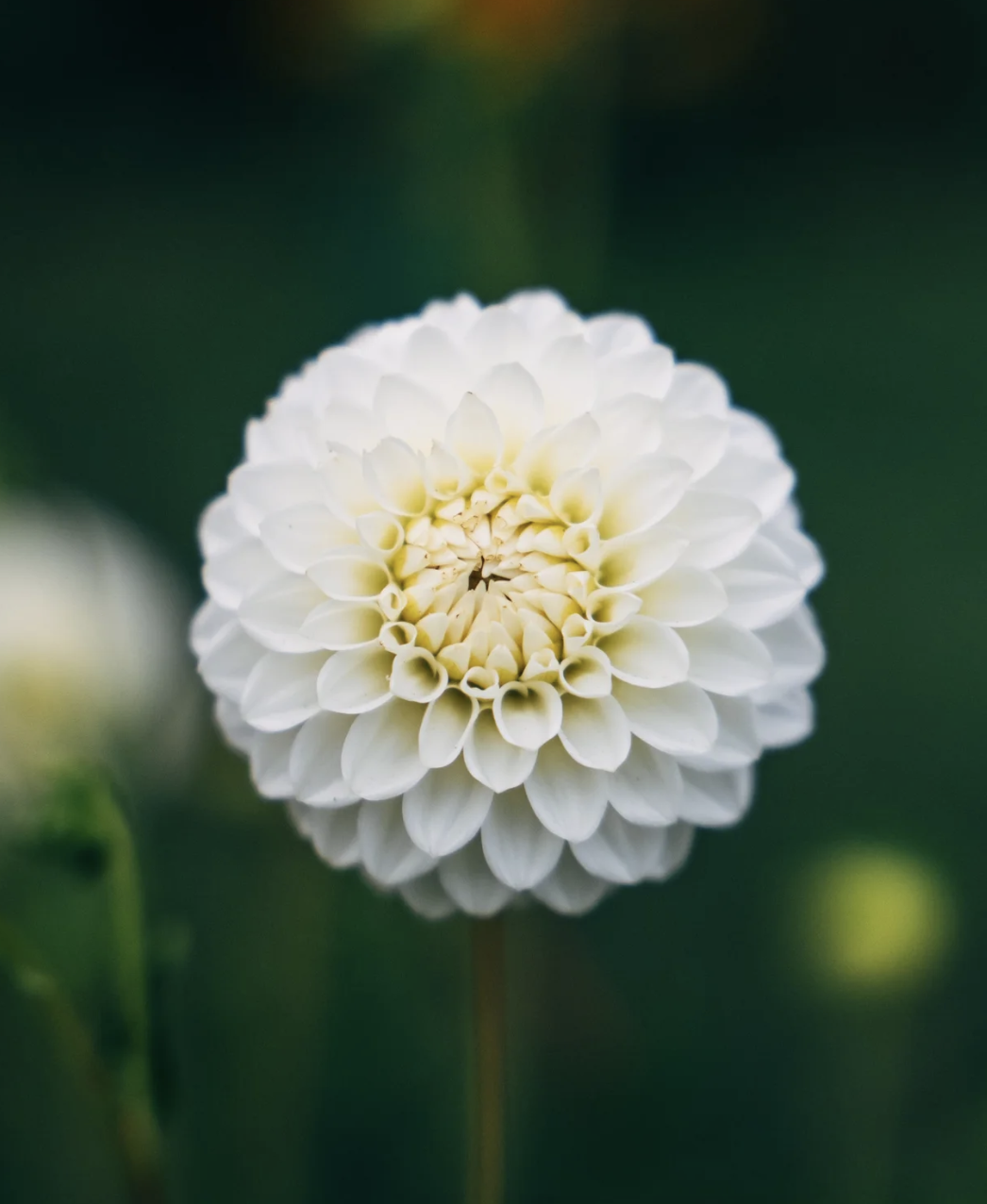 Screenshot 2026-03-17 at 4.37.07 PM.png