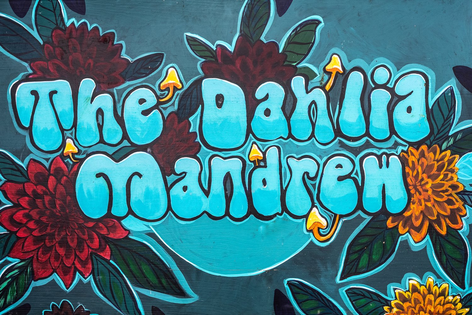 The Dahlia Mandrew