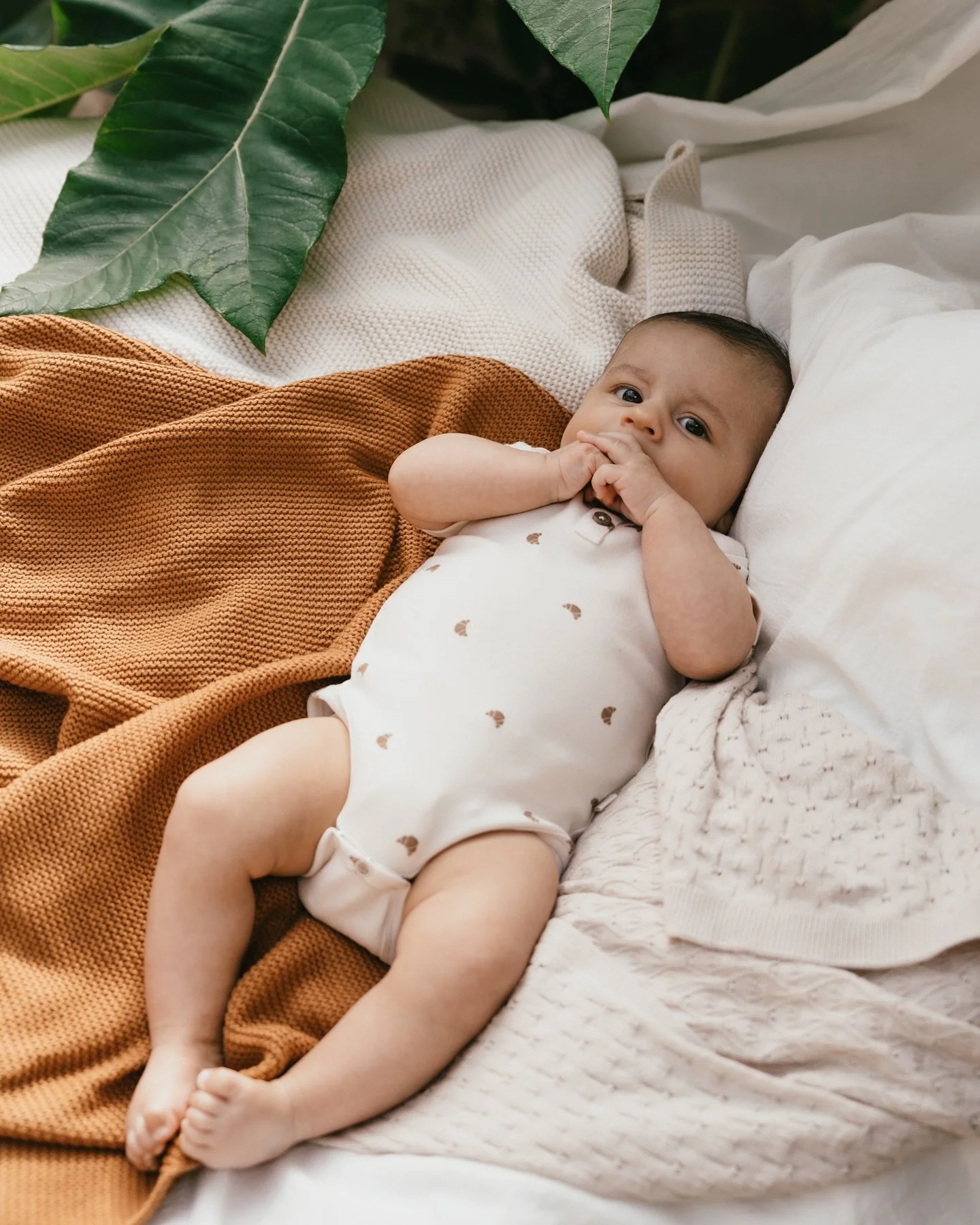 @atinystorycollection mallistosta l&ouml;ytyy k&auml;yt&auml;nn&ouml;llisi&auml; bodeja erityisen pehme&auml;st&auml; materiaalista. Ja niin s&ouml;p&ouml;j&auml; printtej&auml;! 🥐🤍🌸

#atinystory #atinystorycollection #babyclothes #vauvanvaatteet 