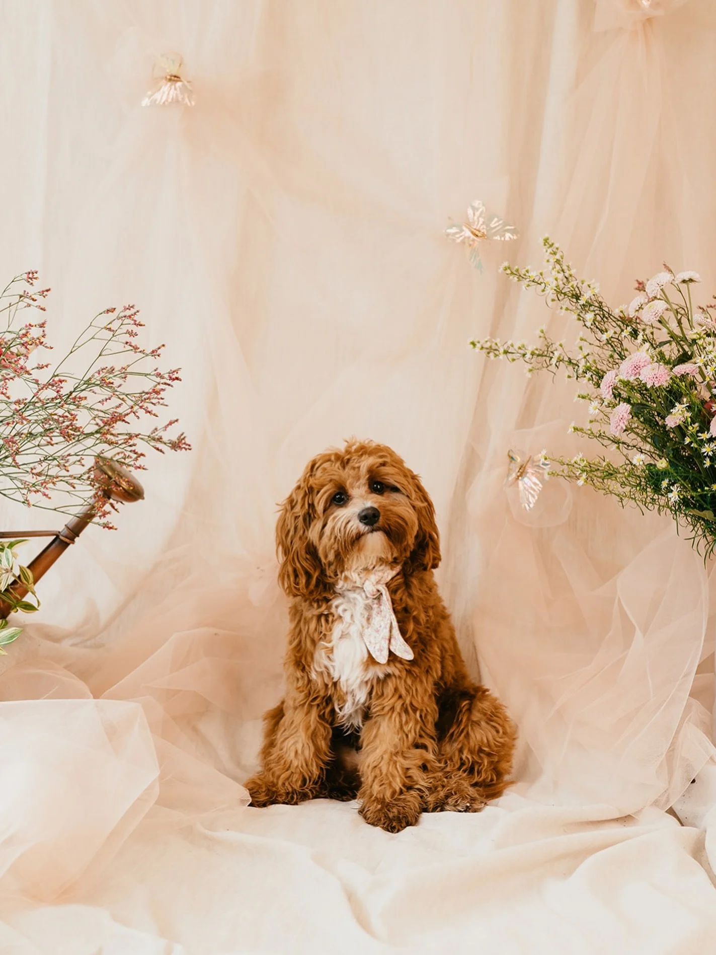 @atinystorycollection Summer 26 🌿🌼 Coming soon.