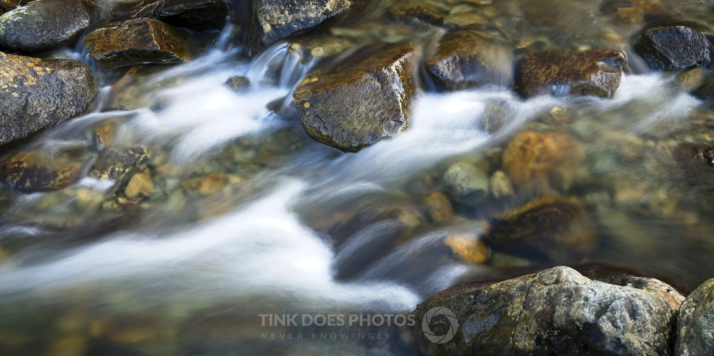 Close-up on stream (LJPEG).jpg
