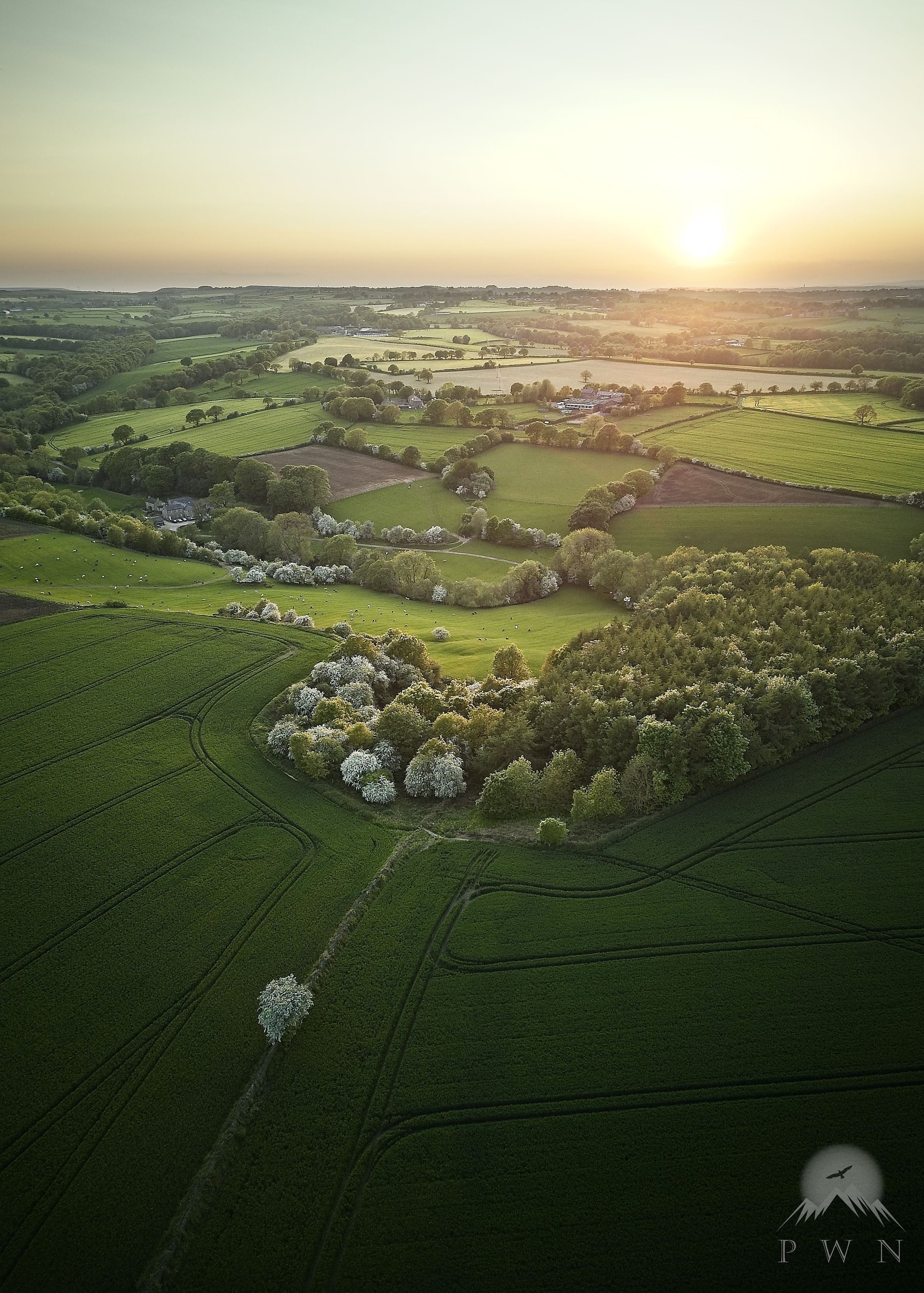AS - Gunthwaite Hills HQ-P PWN.jpg