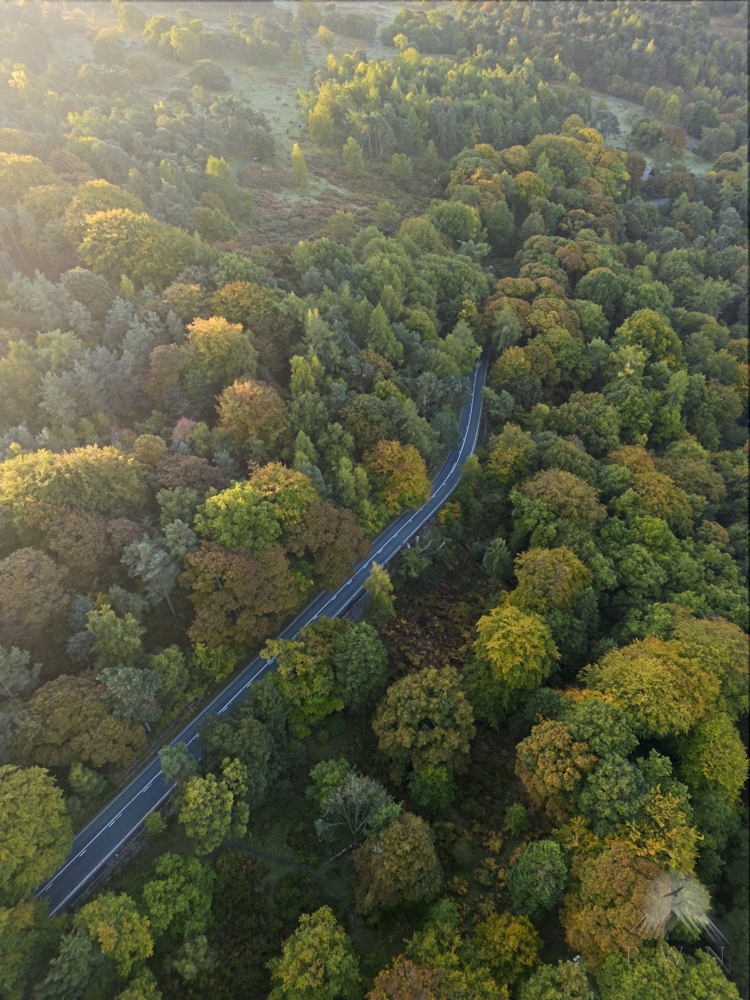AS - Padly Gorge Autumn 1 HQ-P PWN.jpg