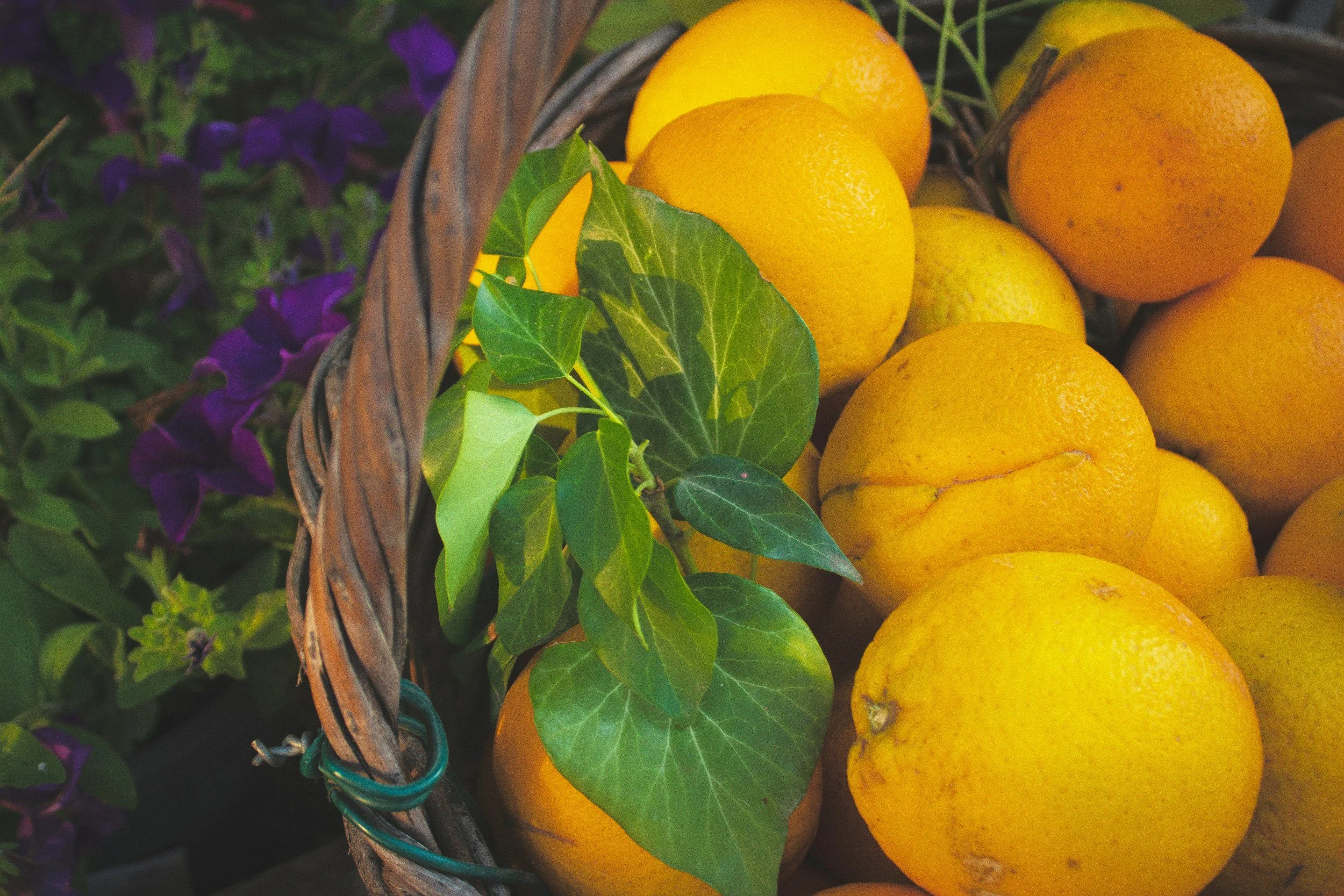 Come Empty, Leaved Filled