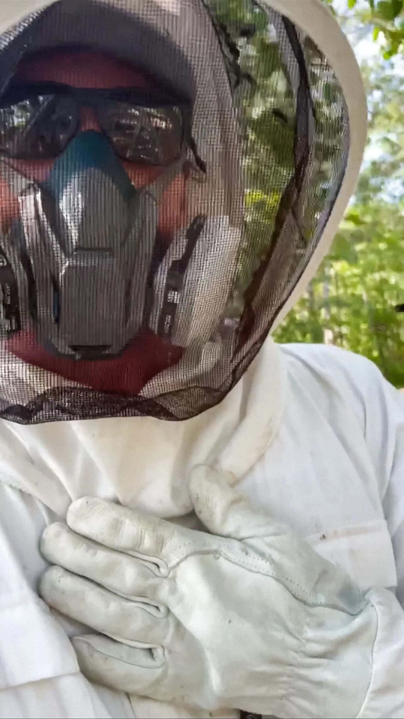 Mosquito & Tick Control — Foggers Pest Control