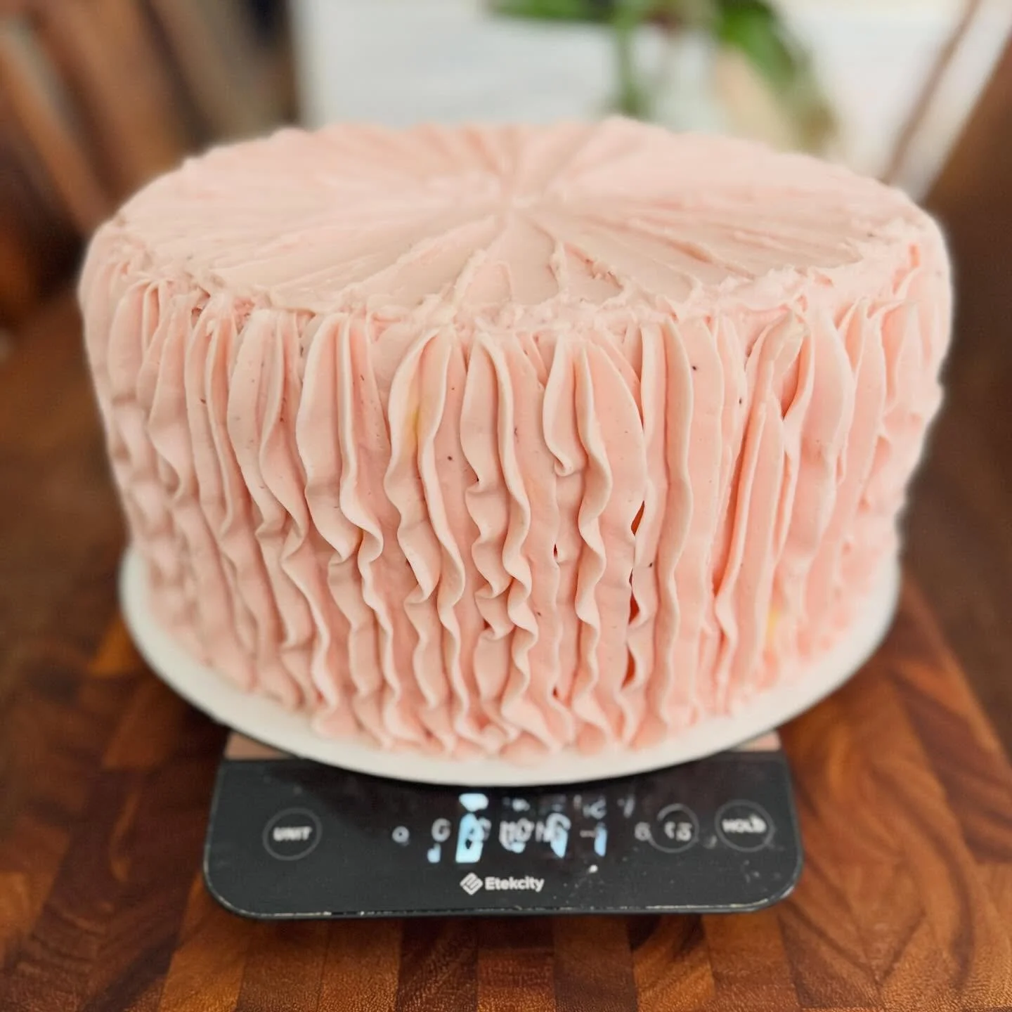 Just for funsies&hellip;let&rsquo;s play a game!

How much does this gorgeous 10 inch, three layer cake weigh??!
Guess below following Price is Right rules&hellip;closest without going over wins a cookie or something!

Weight has been scrambled for s
