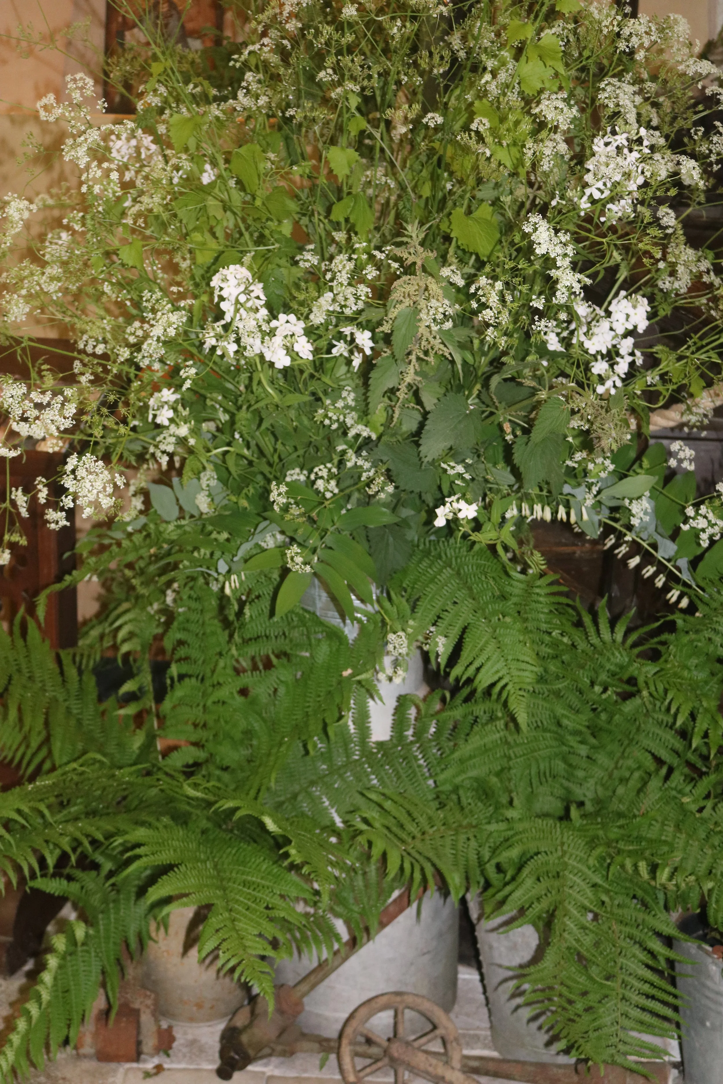 2026 Flower Festival - 70 of 98.jpeg