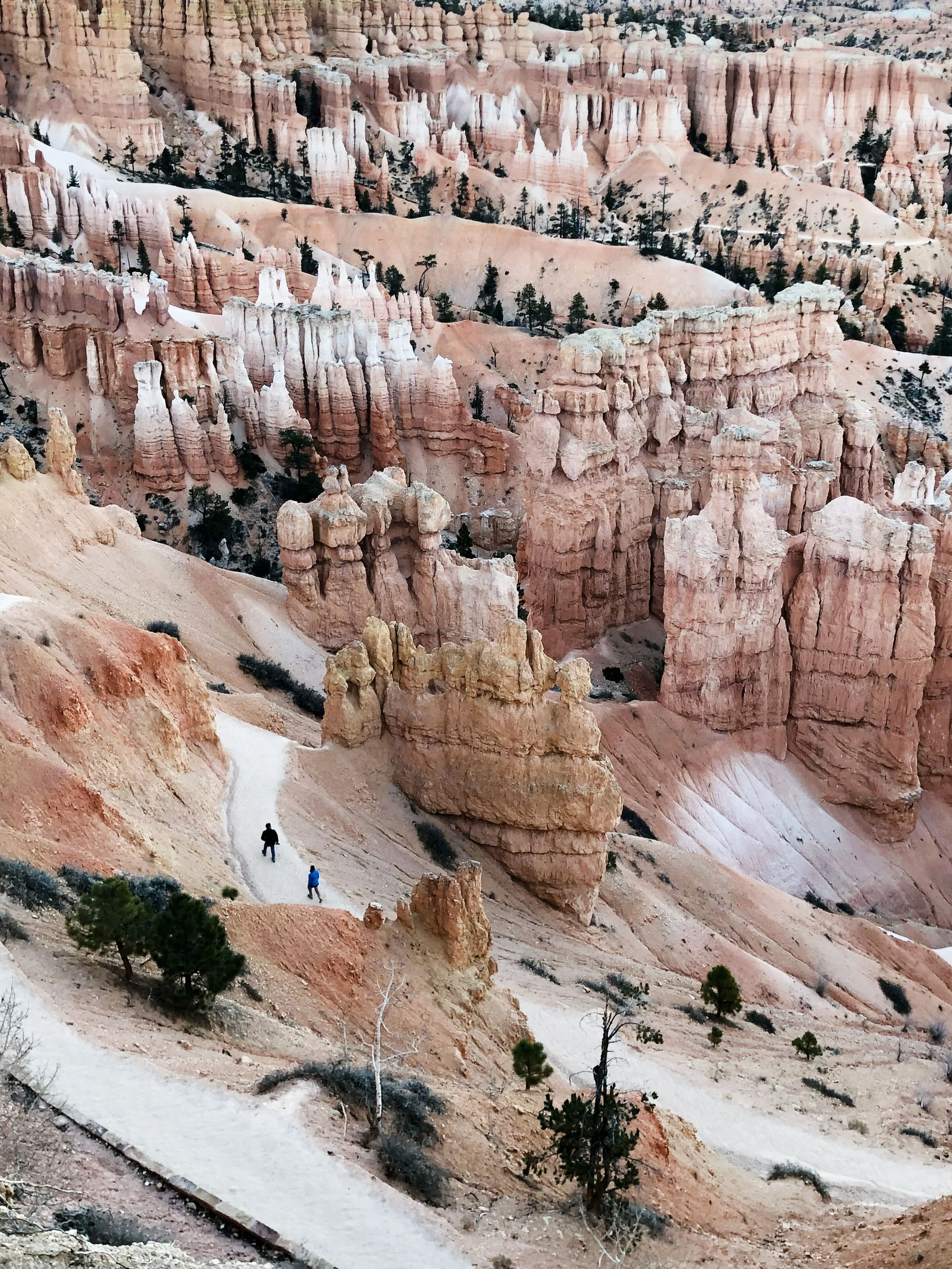 Bryce2.jpg