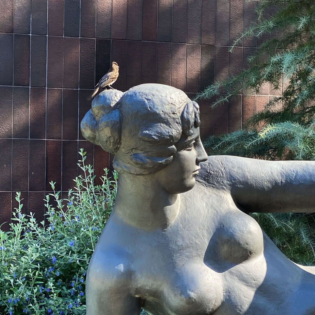 ✨ Suggestion: Meet your friend or surprise your kiddo with a lunch and art date at the Norton Simon Museum in Pasadena, CA 💗 Wind your way through old school masterpieces, an insane collection of asian art and through the sculpture garden. 
💫 Under