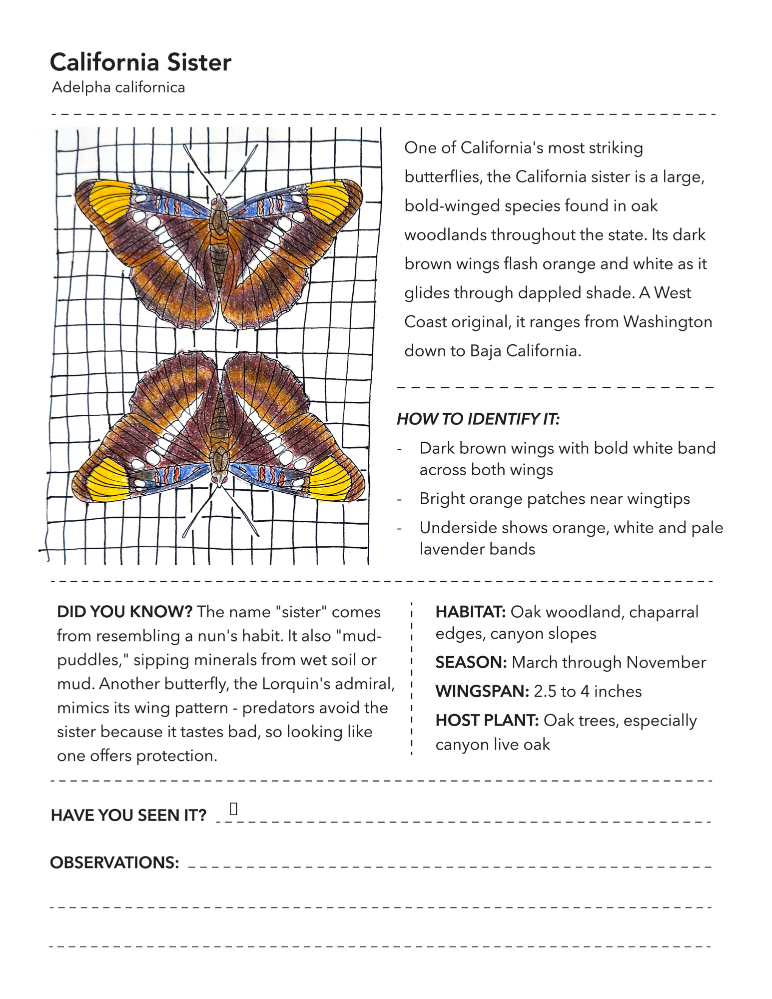 CASister_FieldGuide_Colored.pdf.png