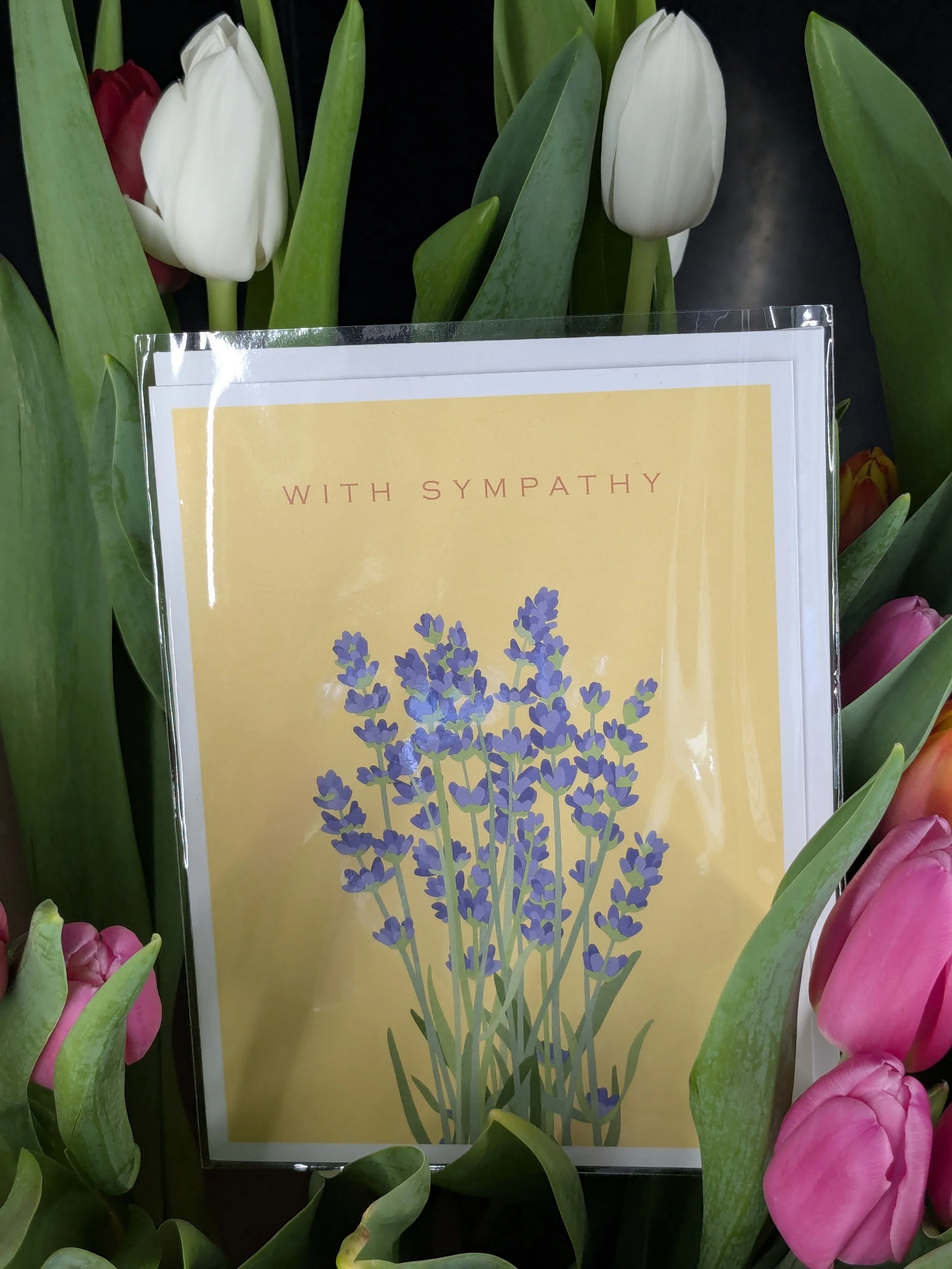Sympathy.jpg