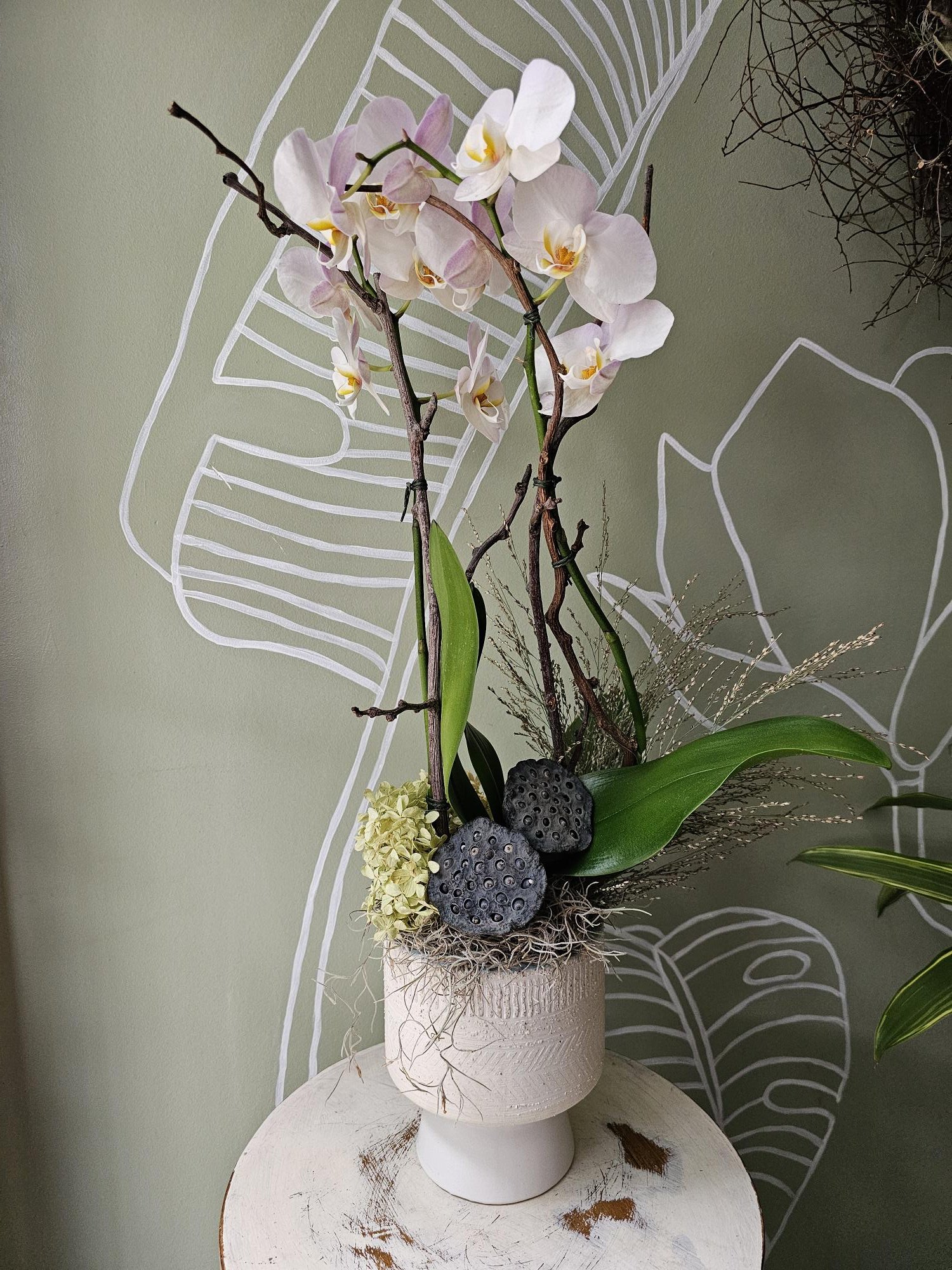 Designer Orchid Pot