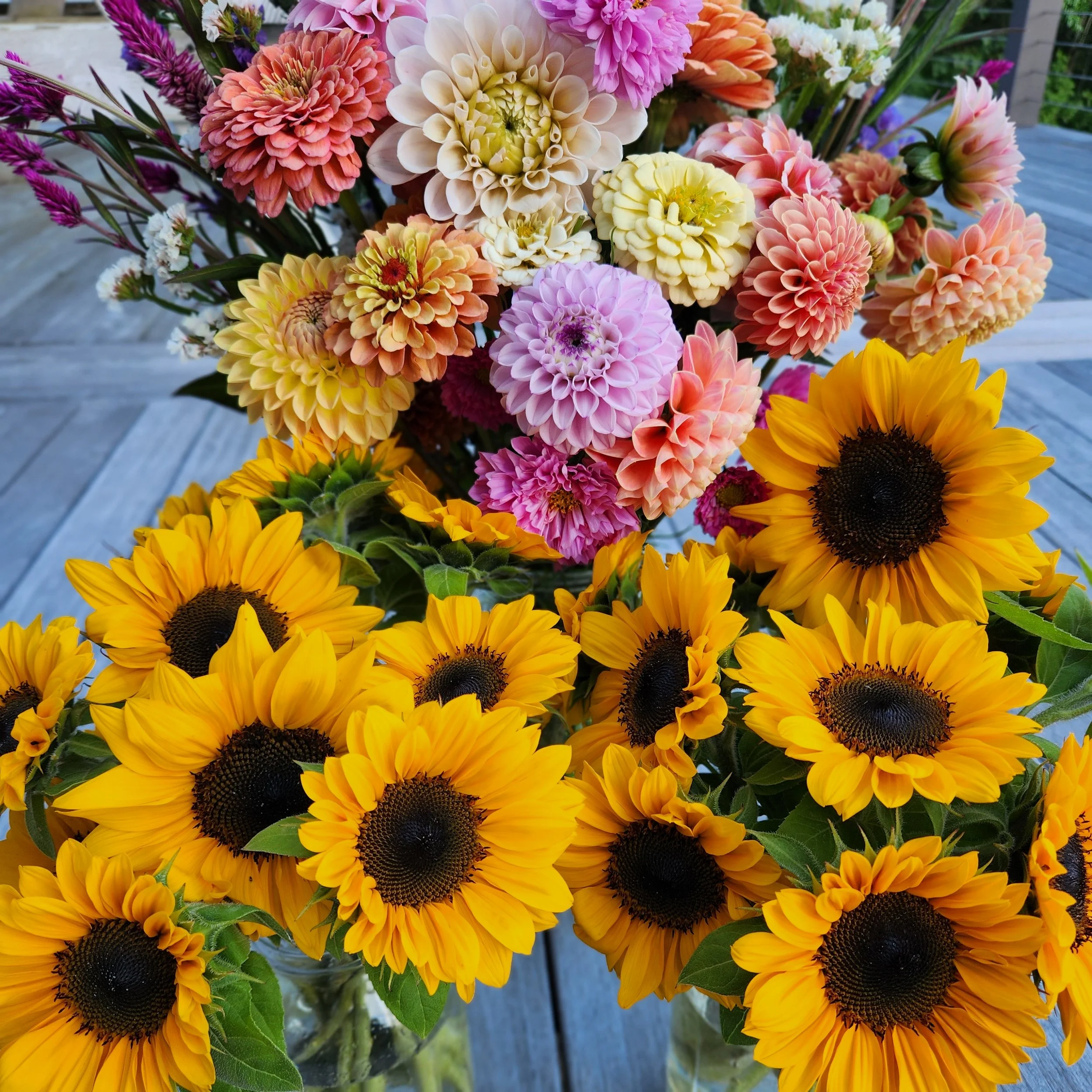 20230816_191921.jpg