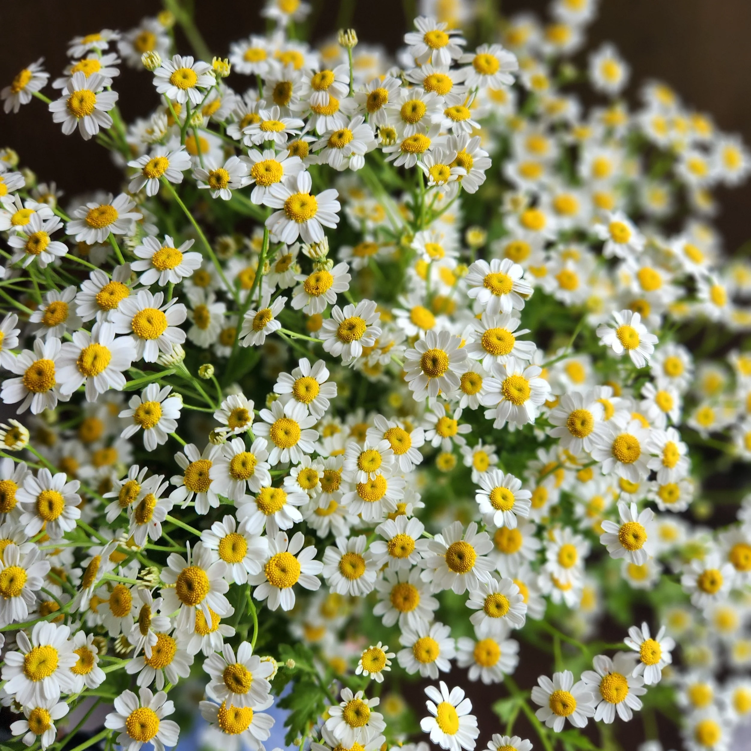 20250622_164743.jpg