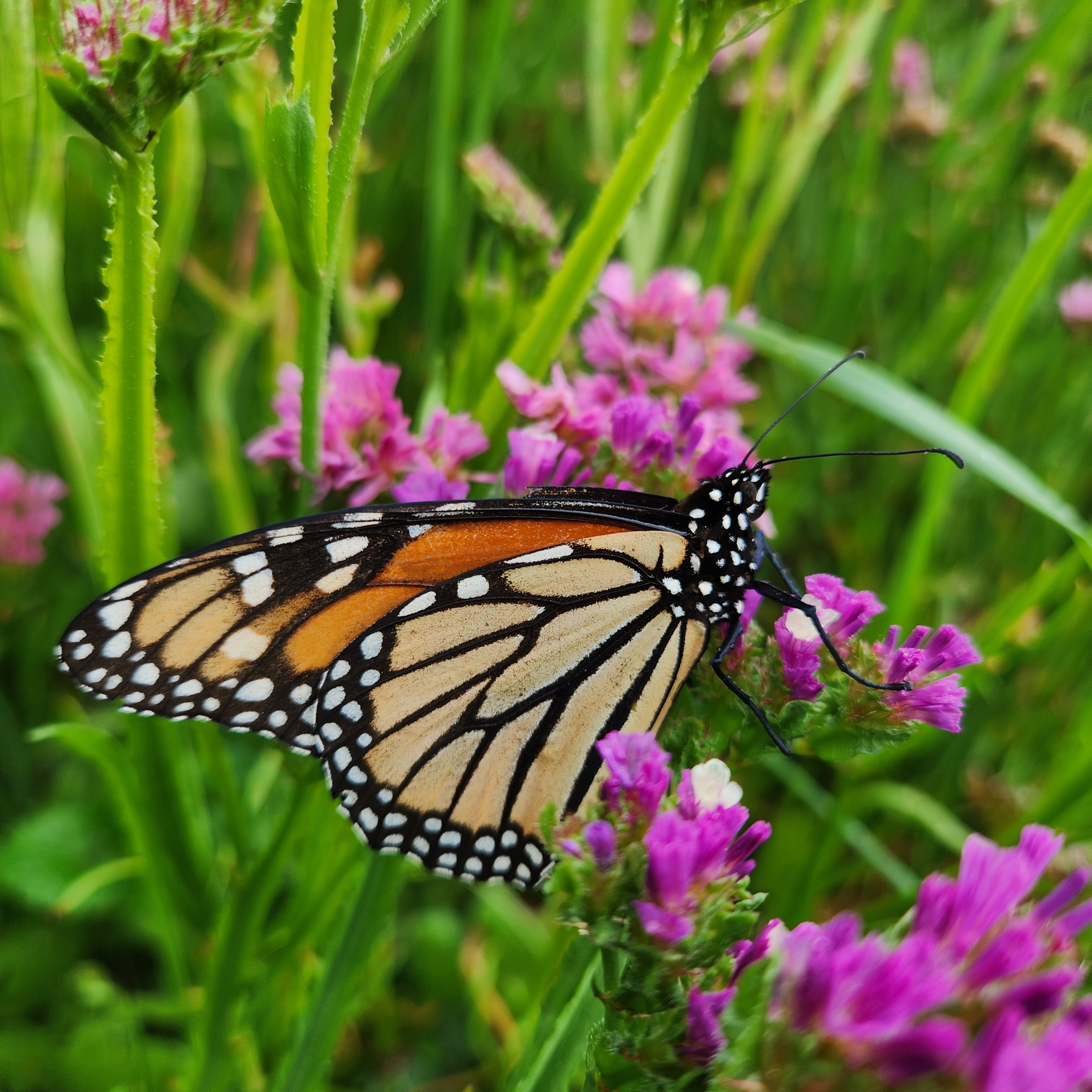 20230808_173016.jpg