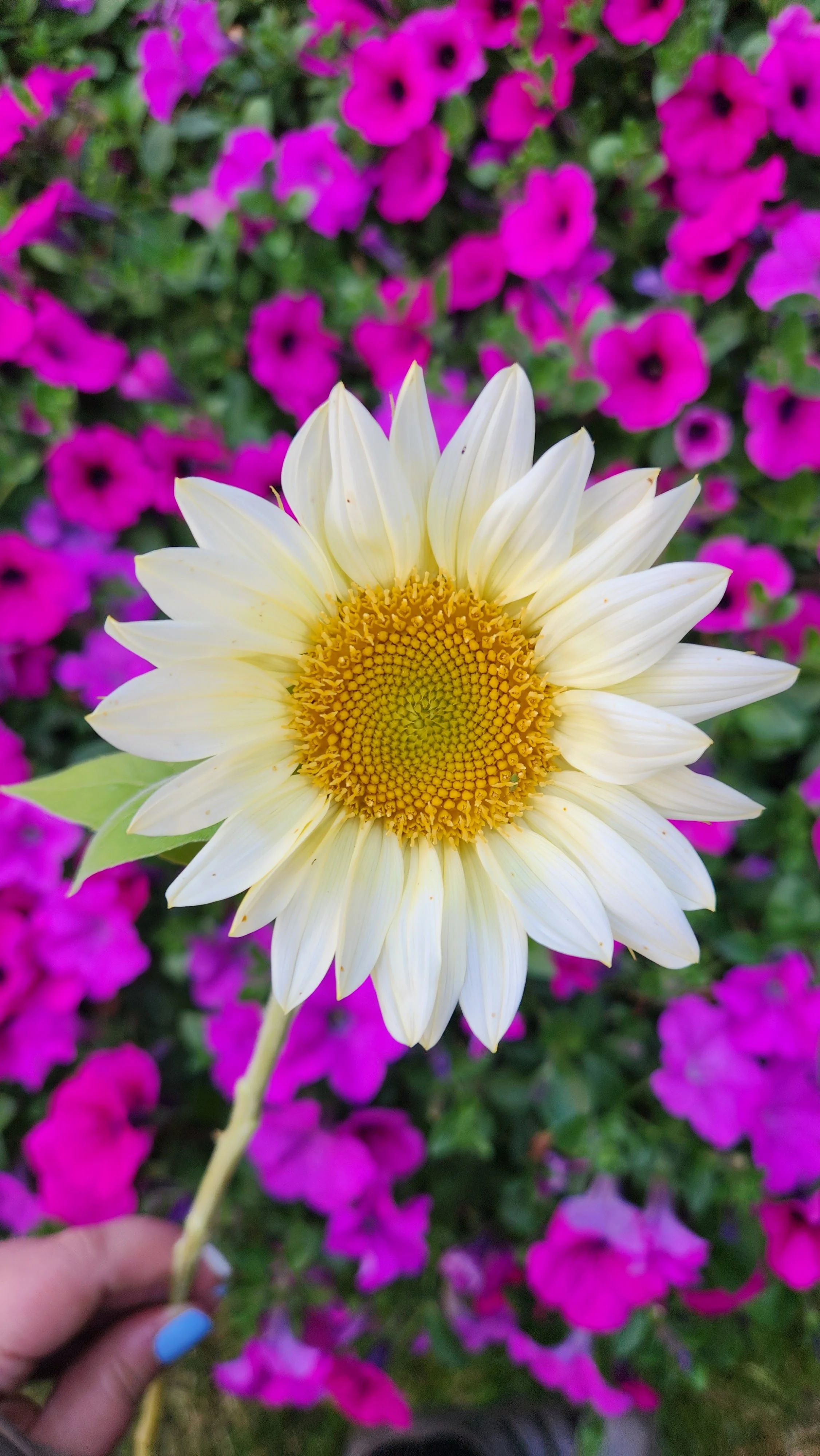 20230823_191227.jpg