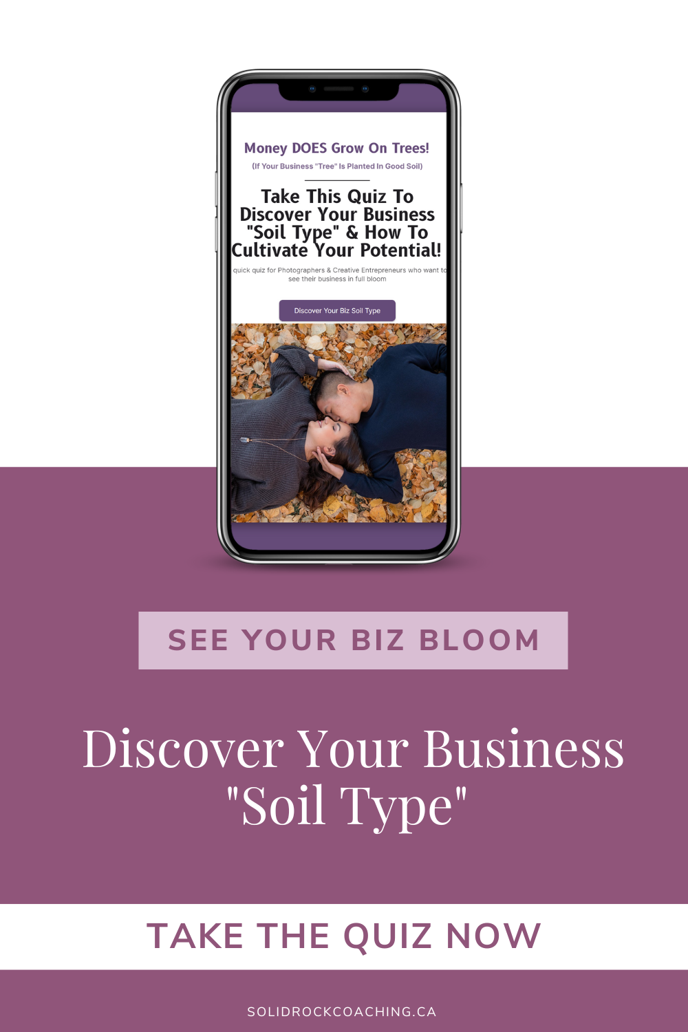 Discover Your Business Soil Type