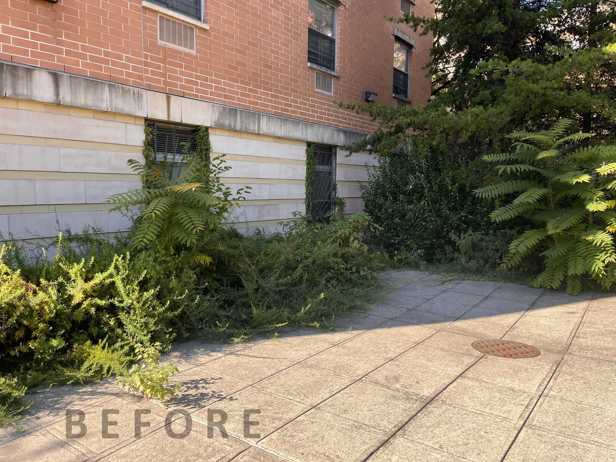 3. courtyard-sm-txt.jpg