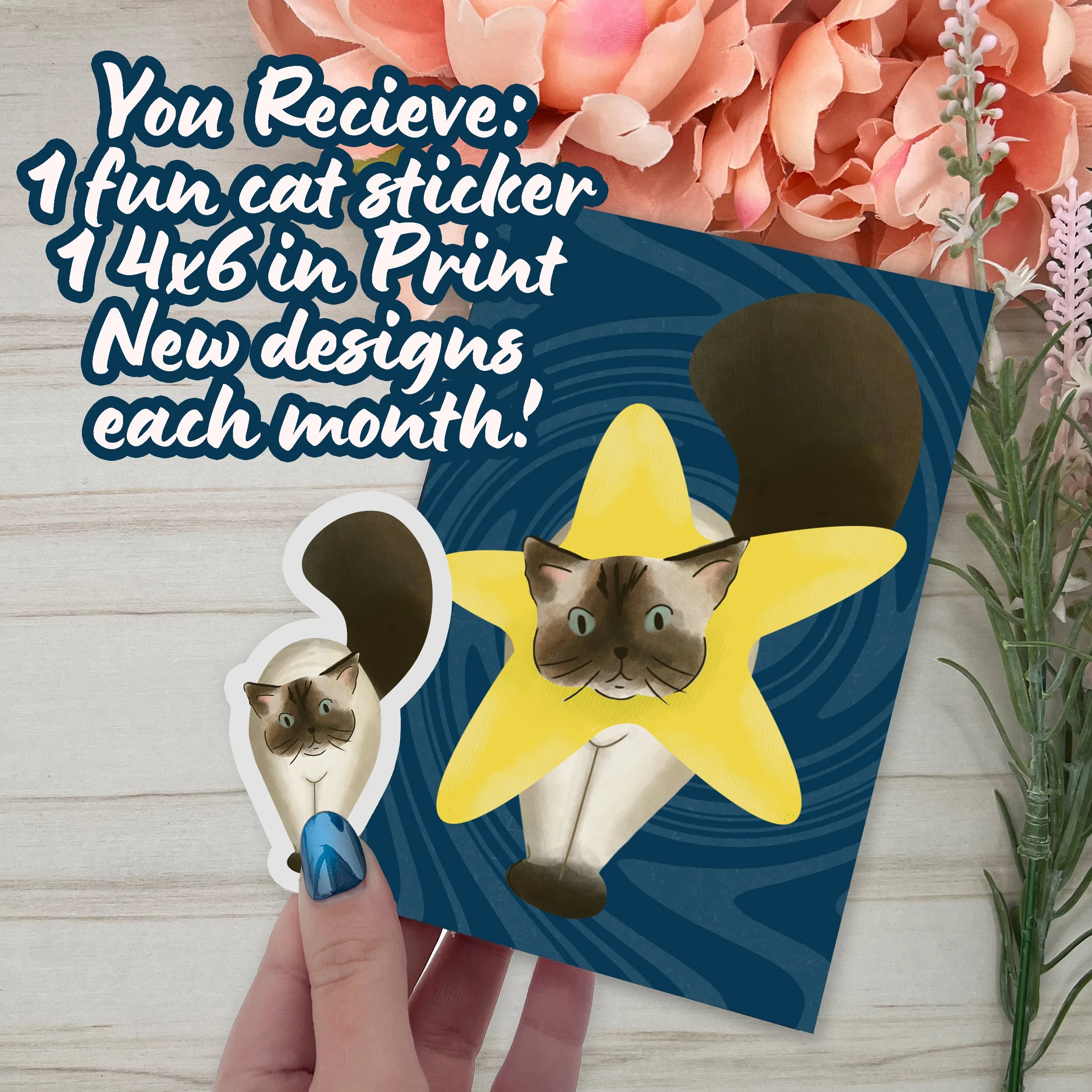 cat of the month 3.jpg