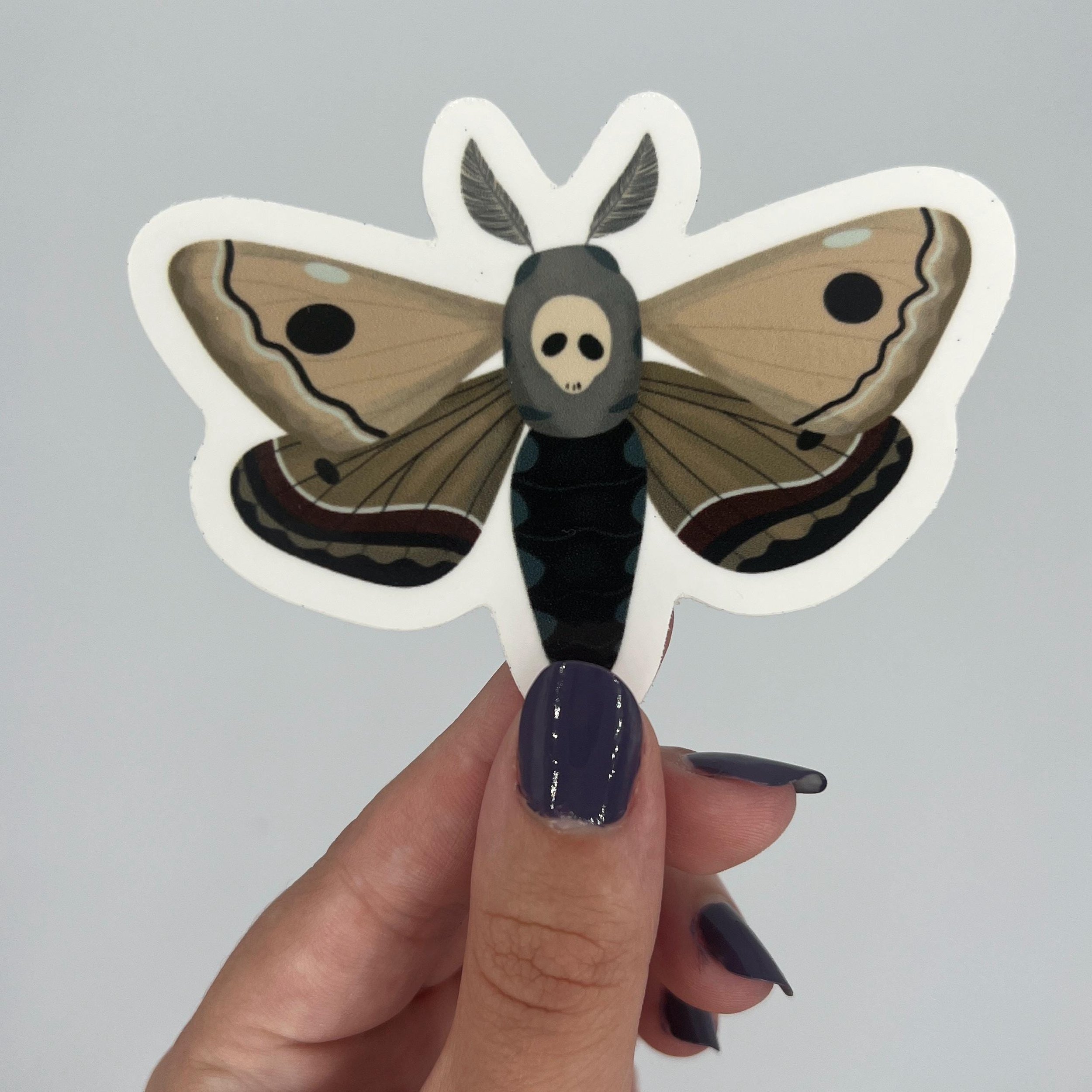 https://i.etsystatic.com/45742417/r/il/392b24/6314857817/il_fullxfull.6314857817_as59.jpg