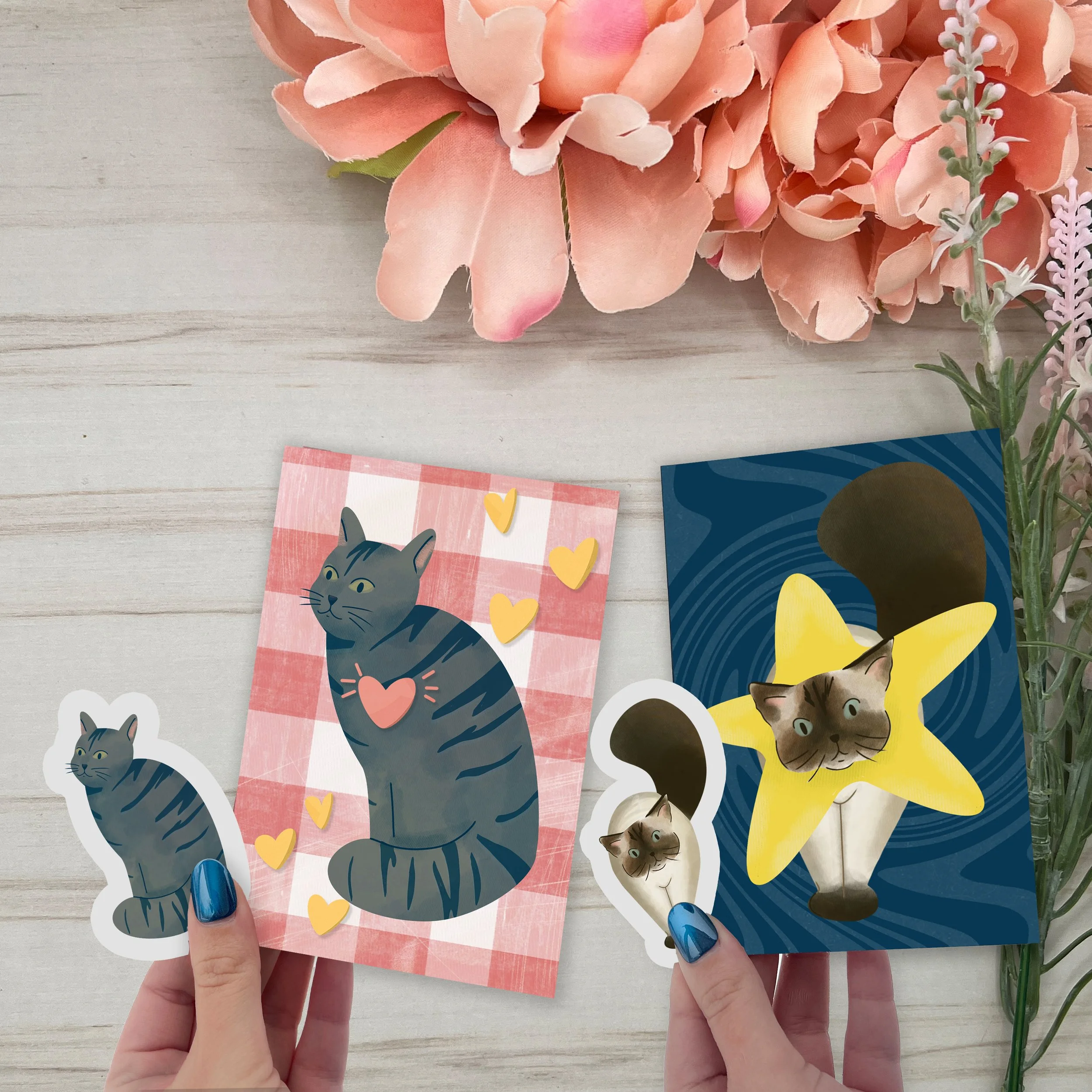 Cat of the month club - 12 Month Club Member