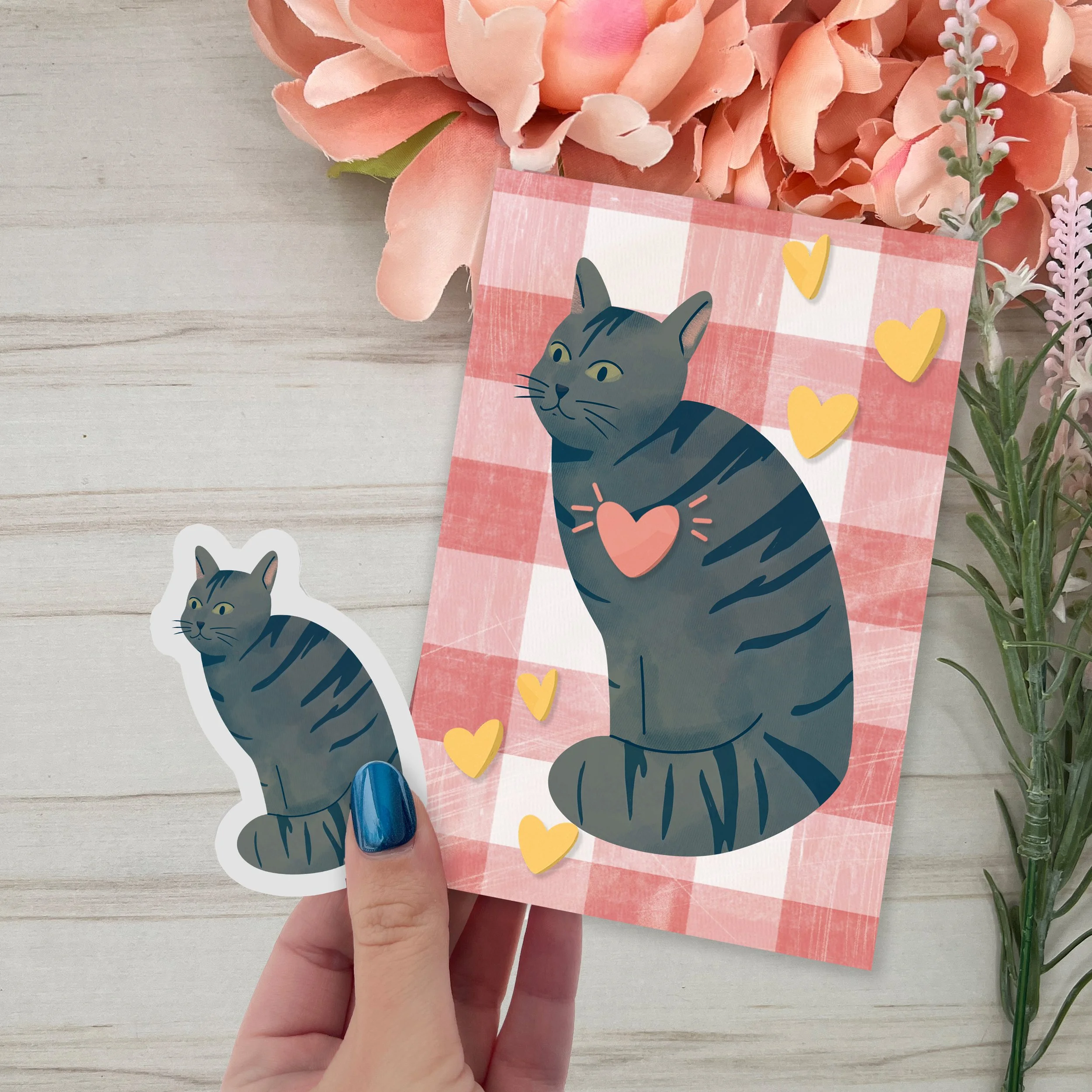 Cat of the month club - February