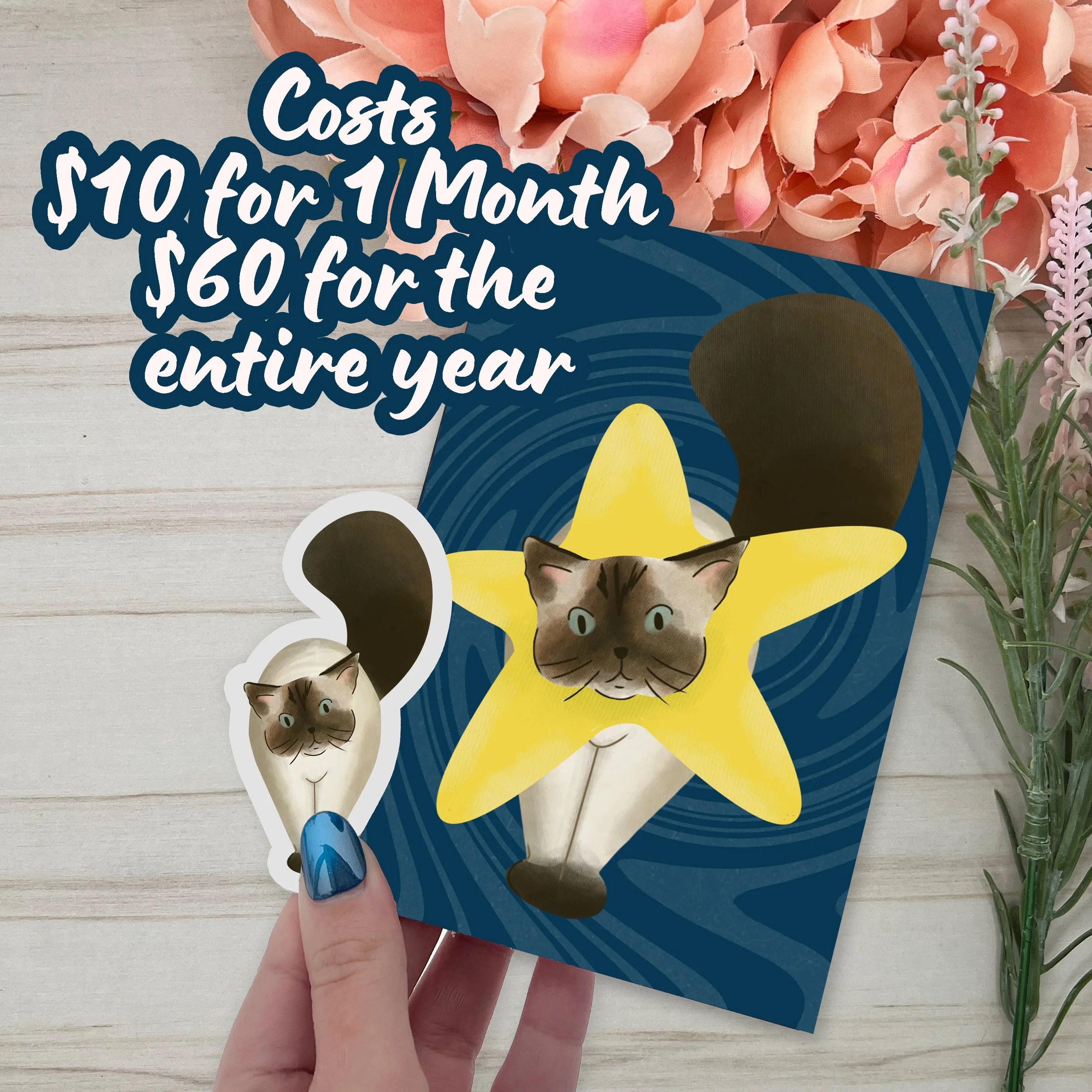 cat of the month 4.jpg (Copy)