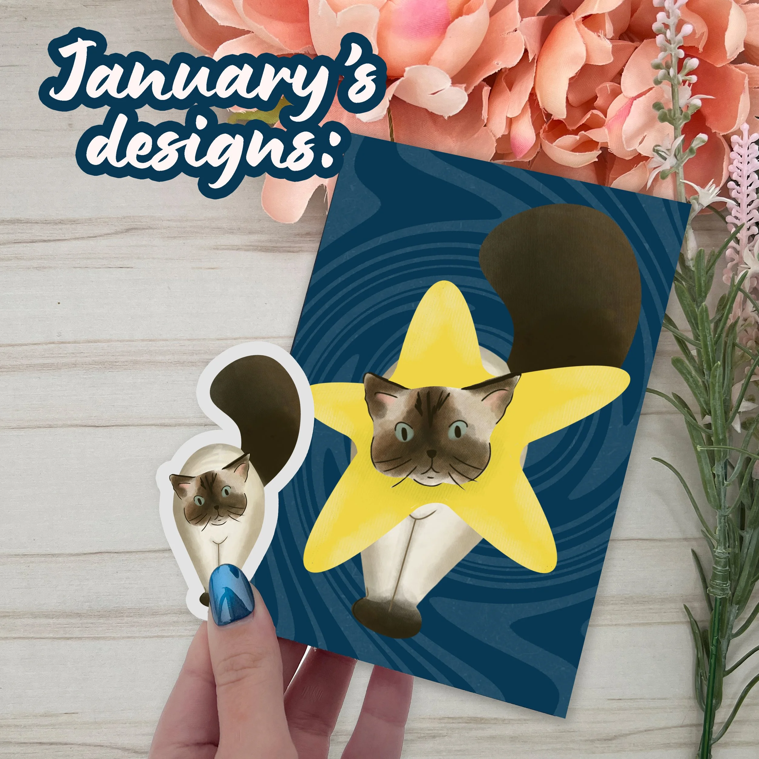 cat of the month january.jpg