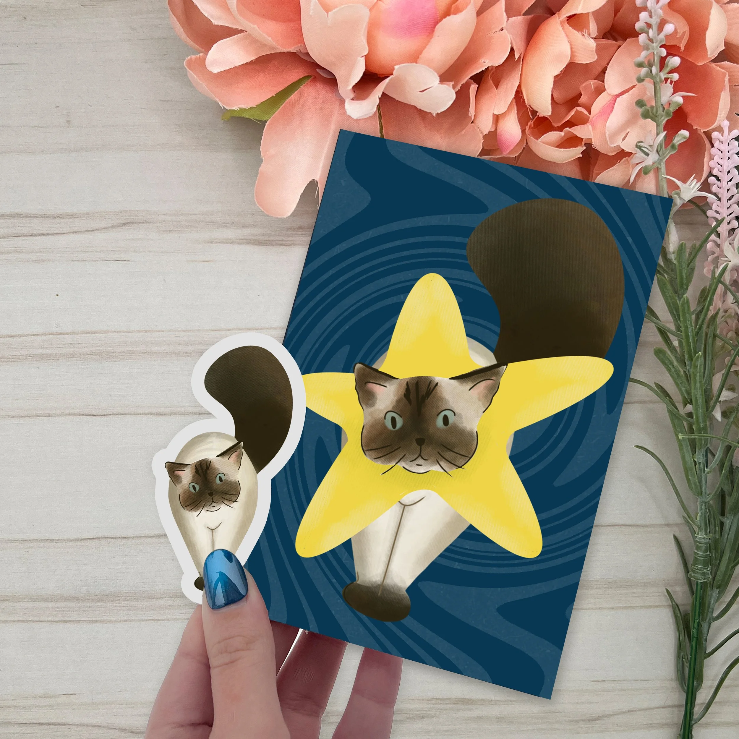 January- Product shot.jpg