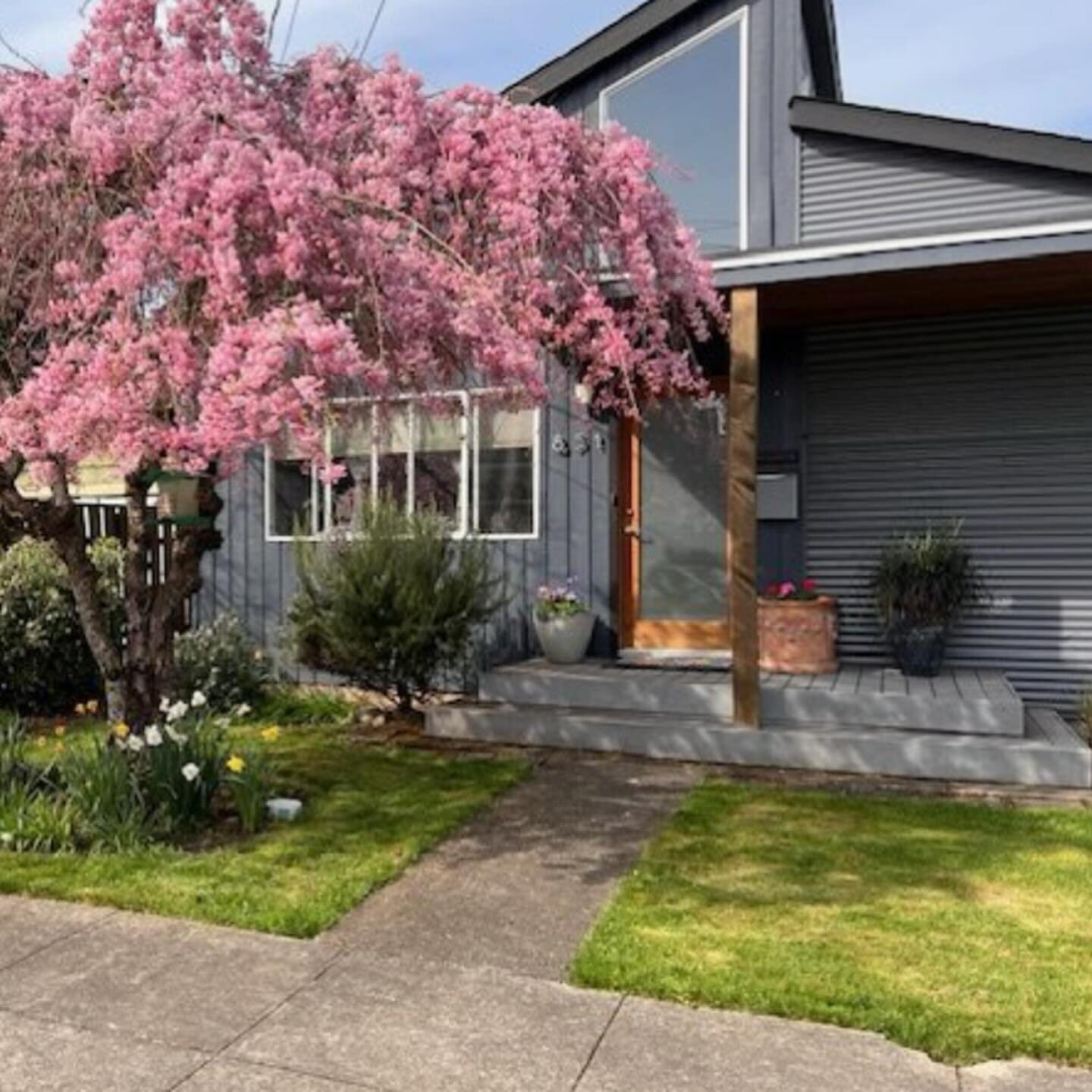 Here&rsquo;s a modern fairytale &mdash; a Ghibli tree in front, theatrical hot tub scene in back, and all the sun and cozy updates inside. 

Message me to go see it! 

3 bed | 2 bath | 1,313 sq ft | $575,000

Listing courtesy: Jessica Radke, Property