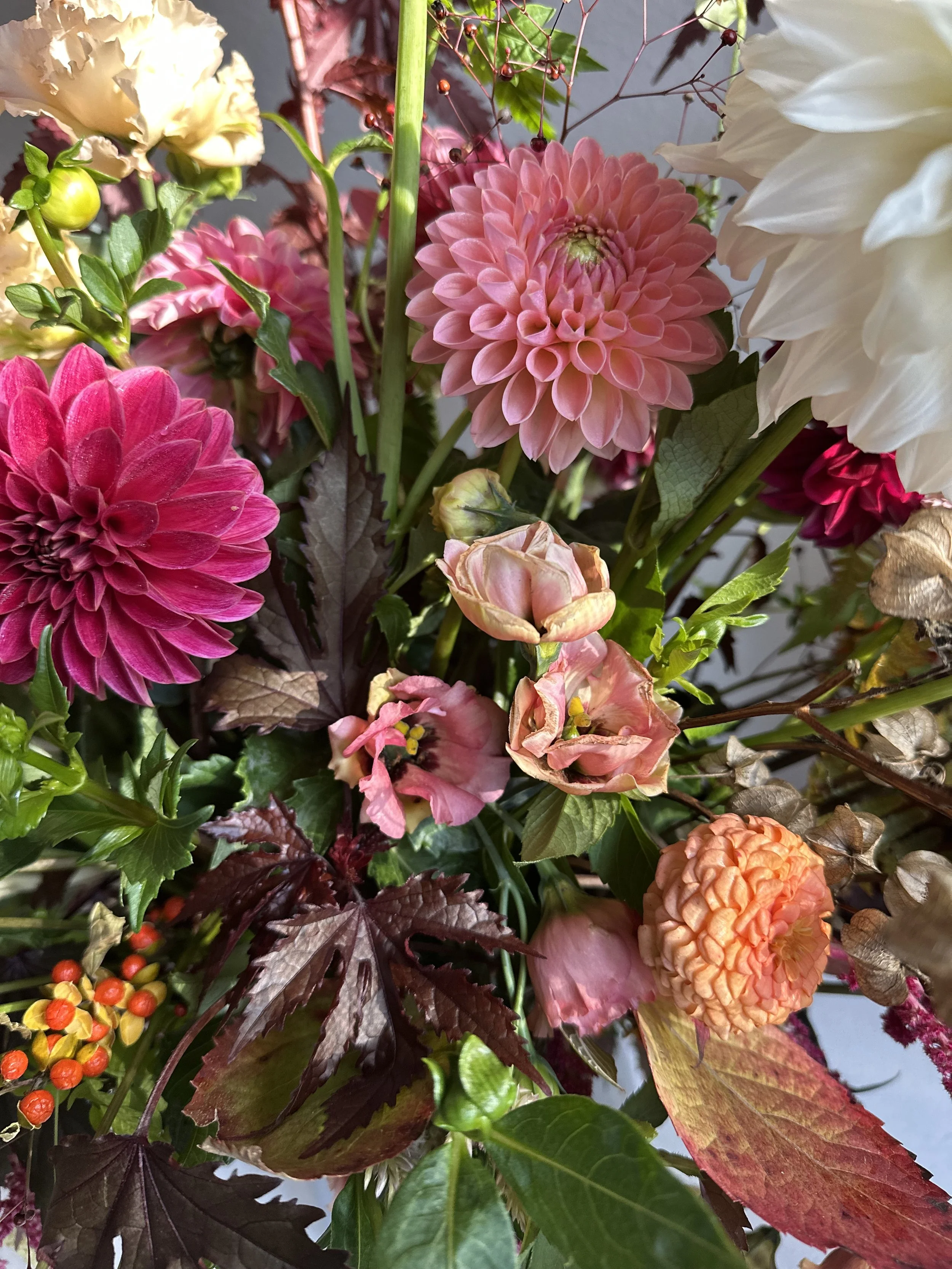 MARCH 14 - Cut Flower Gardening for People Who Kill Plants