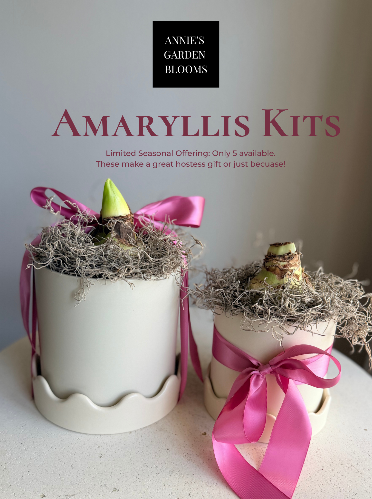Amaryllis Kits