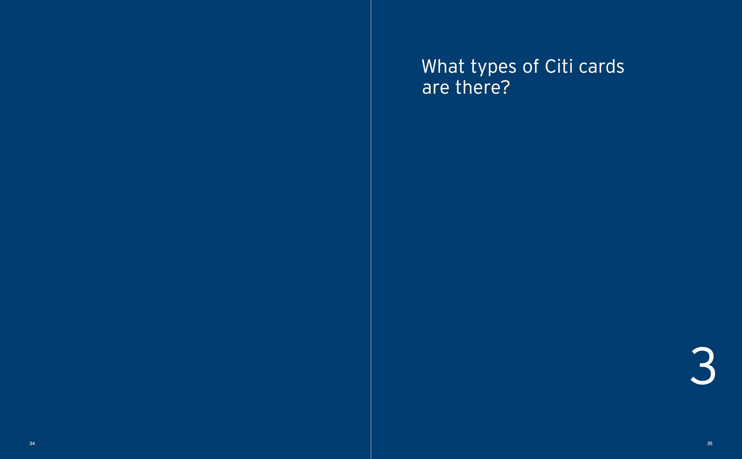 CitiCards_strategy_011909 19.jpeg