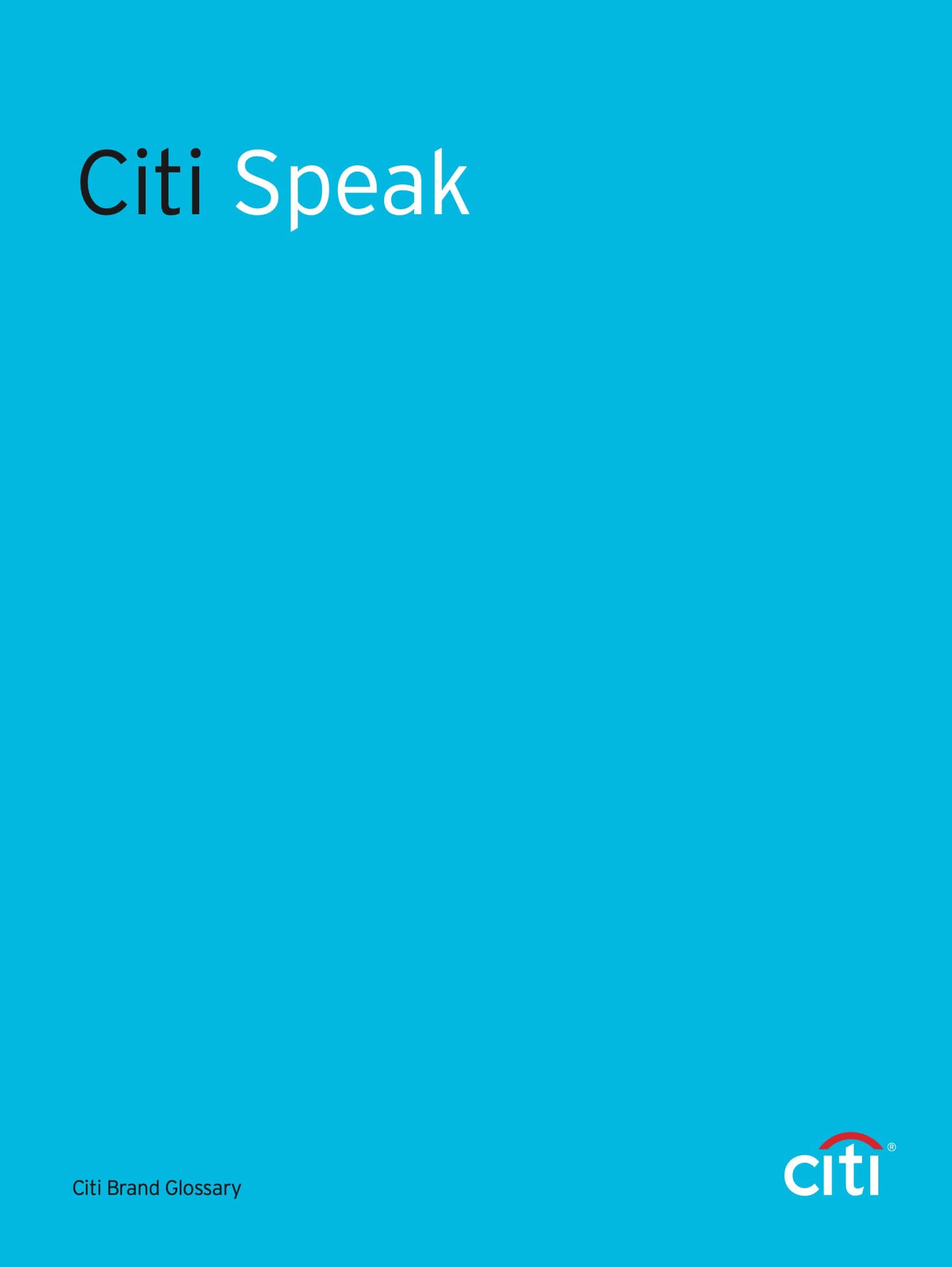 Citi_Speak_011209 1.jpeg