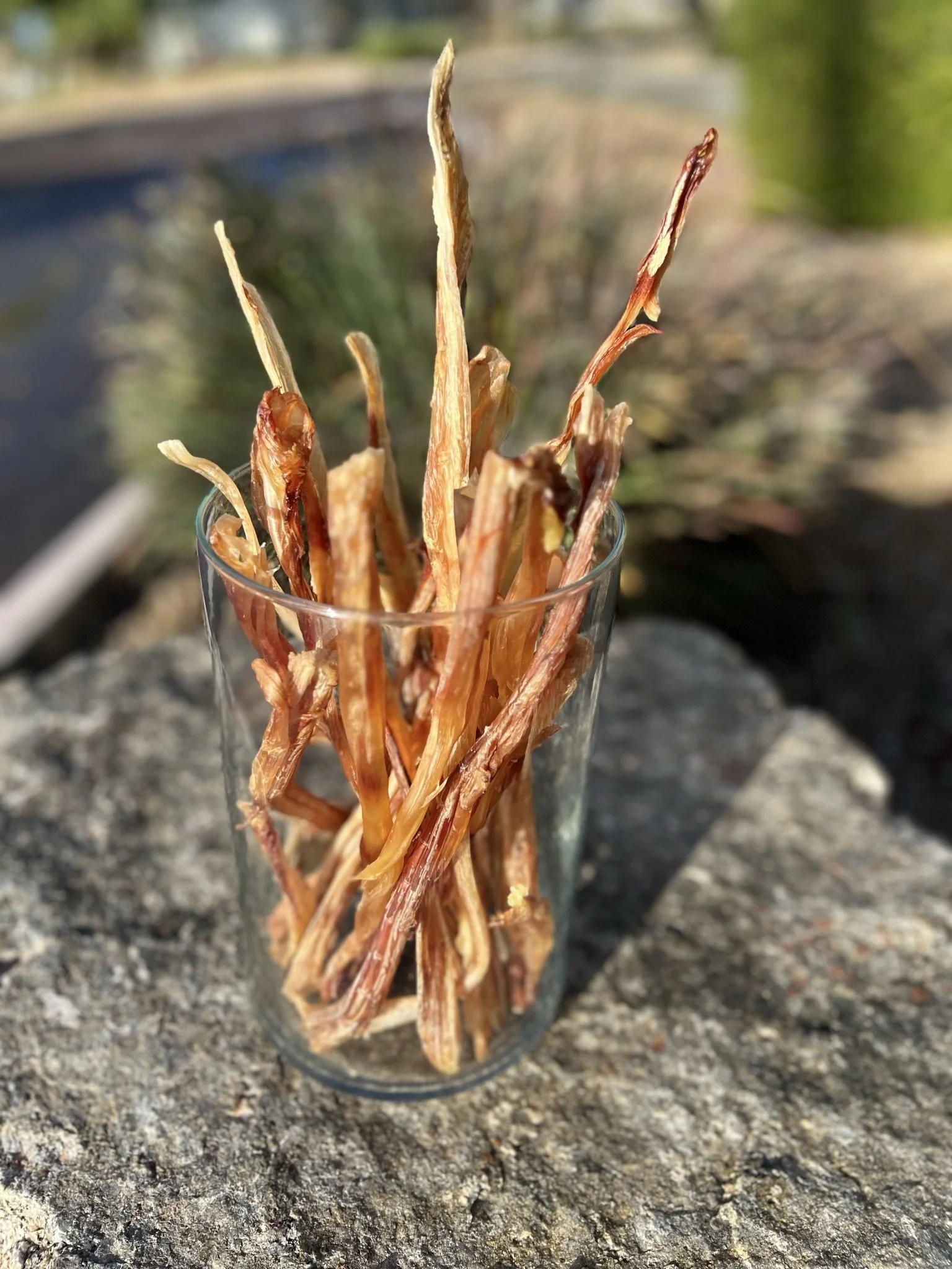 OSTRICH TENDONS — Soul'y Raw Pet Food