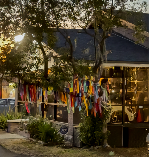 Photo of Avalon Beyond at sunset with the prayer flags blowing in the wind of the Oak tree outside
