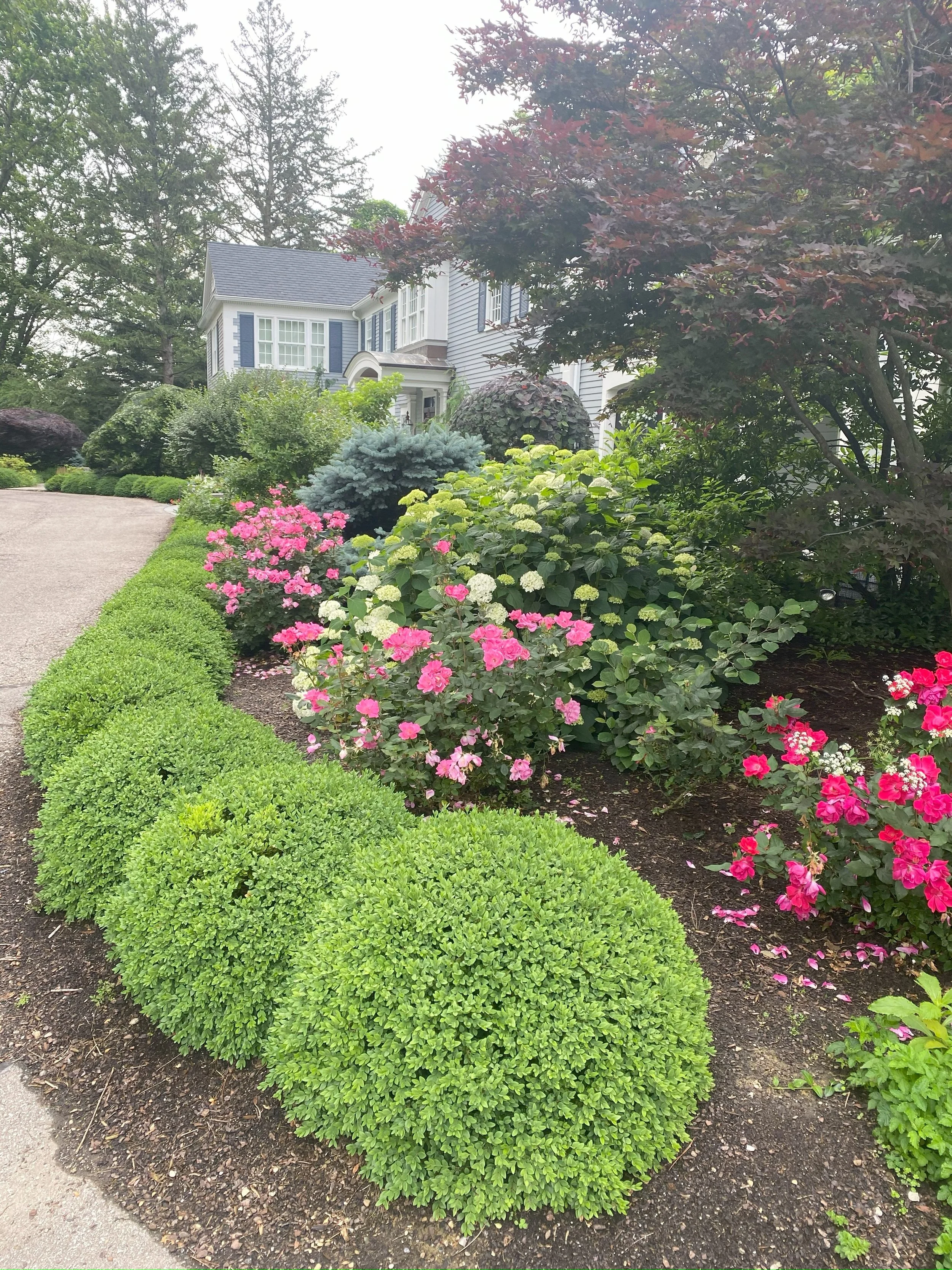 IMG_2863 2024-02-28 12_48_25.jpg