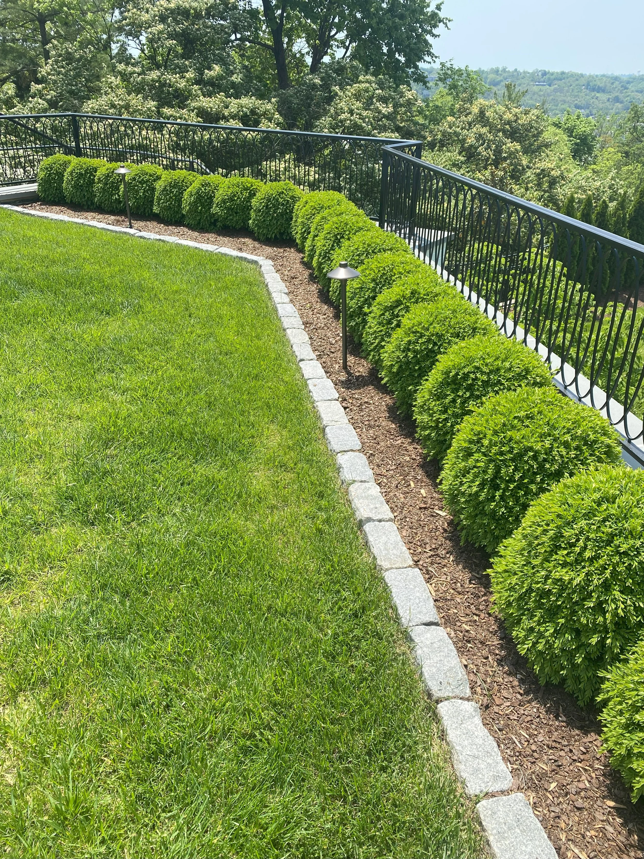 IMG_5517 2024-02-28 12_54_46.jpg