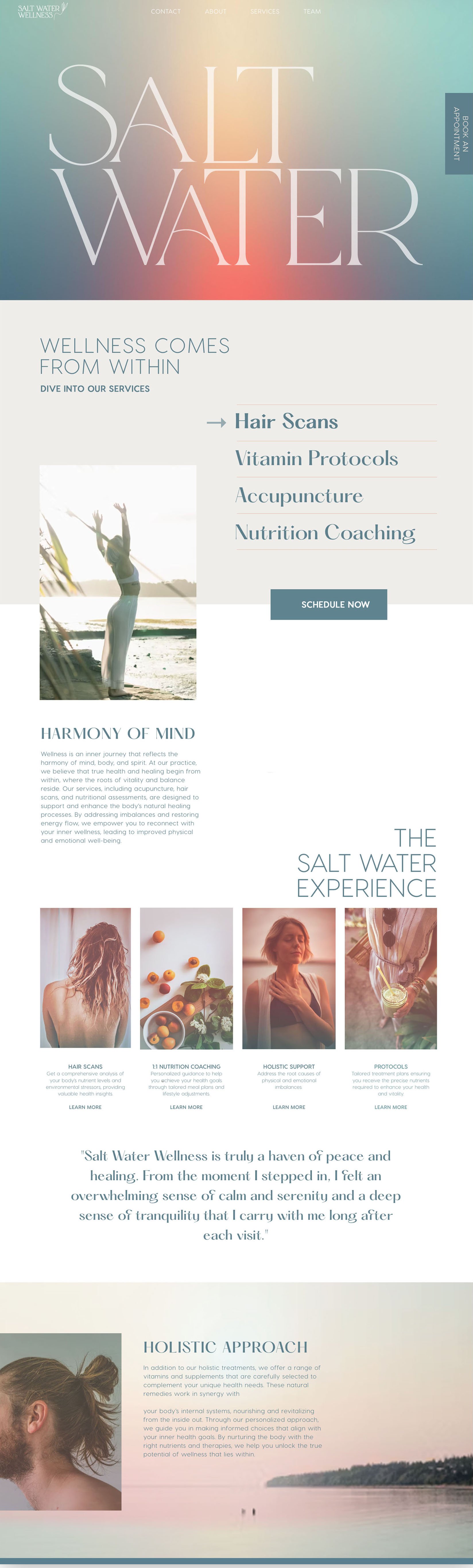 Website Design