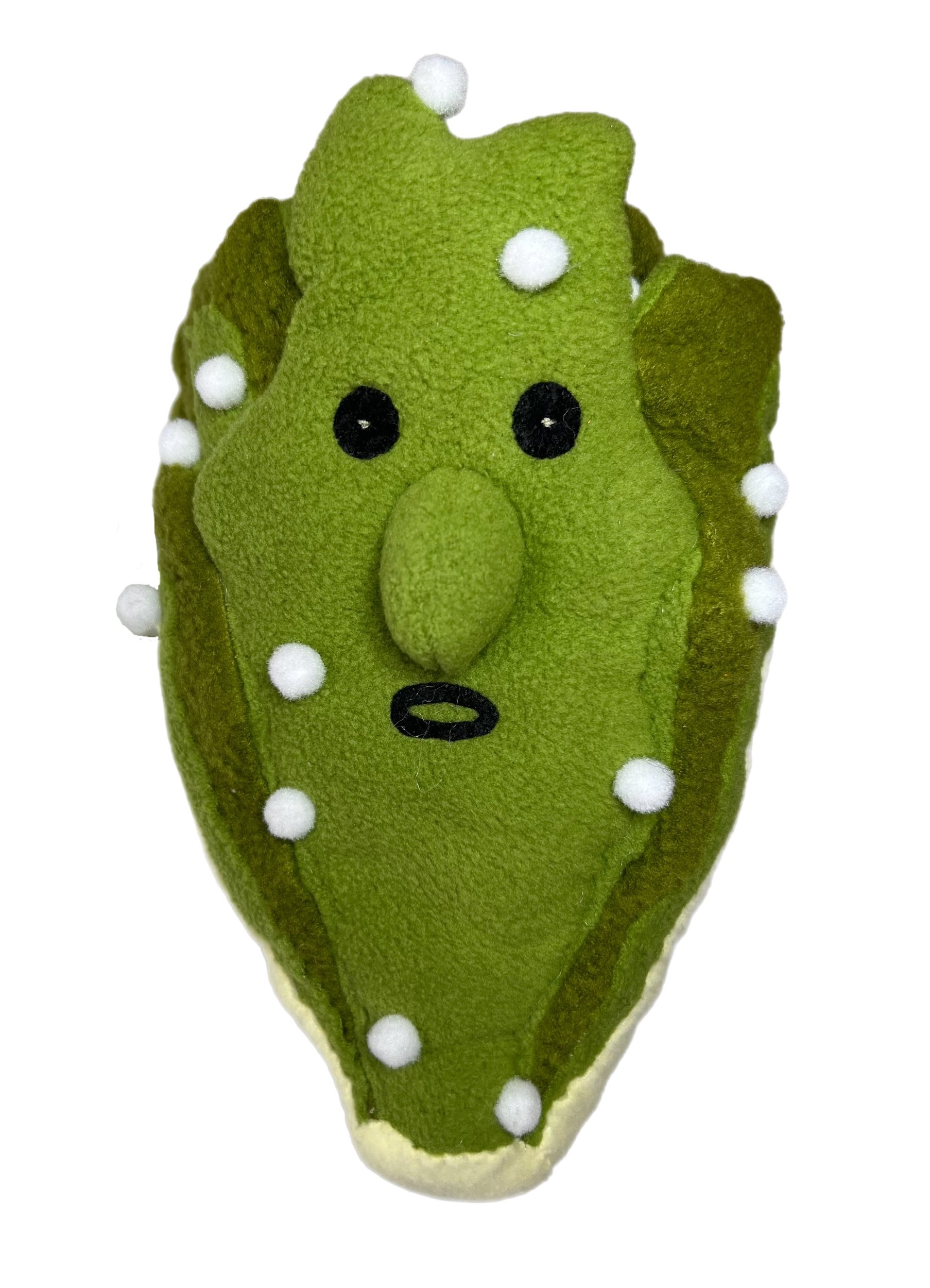 VEGIMALS_13_romainewithpathogens.jpg