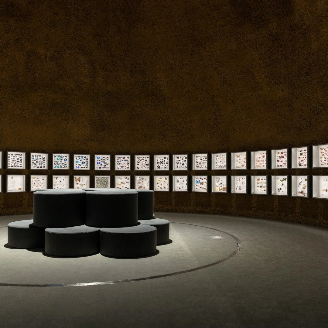 Projet insectarium_Foutu Tissu rembourrage 1.jpg