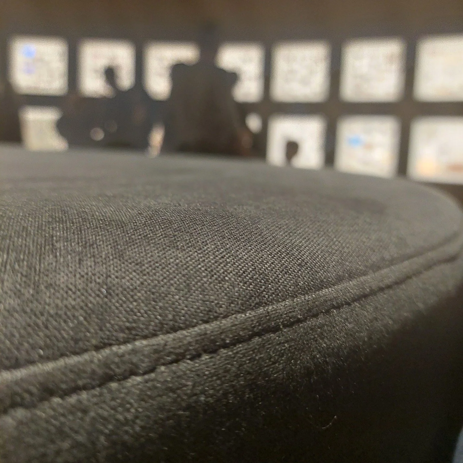 Projet insectarium_Foutu Tissu rembourrage 3.jpg