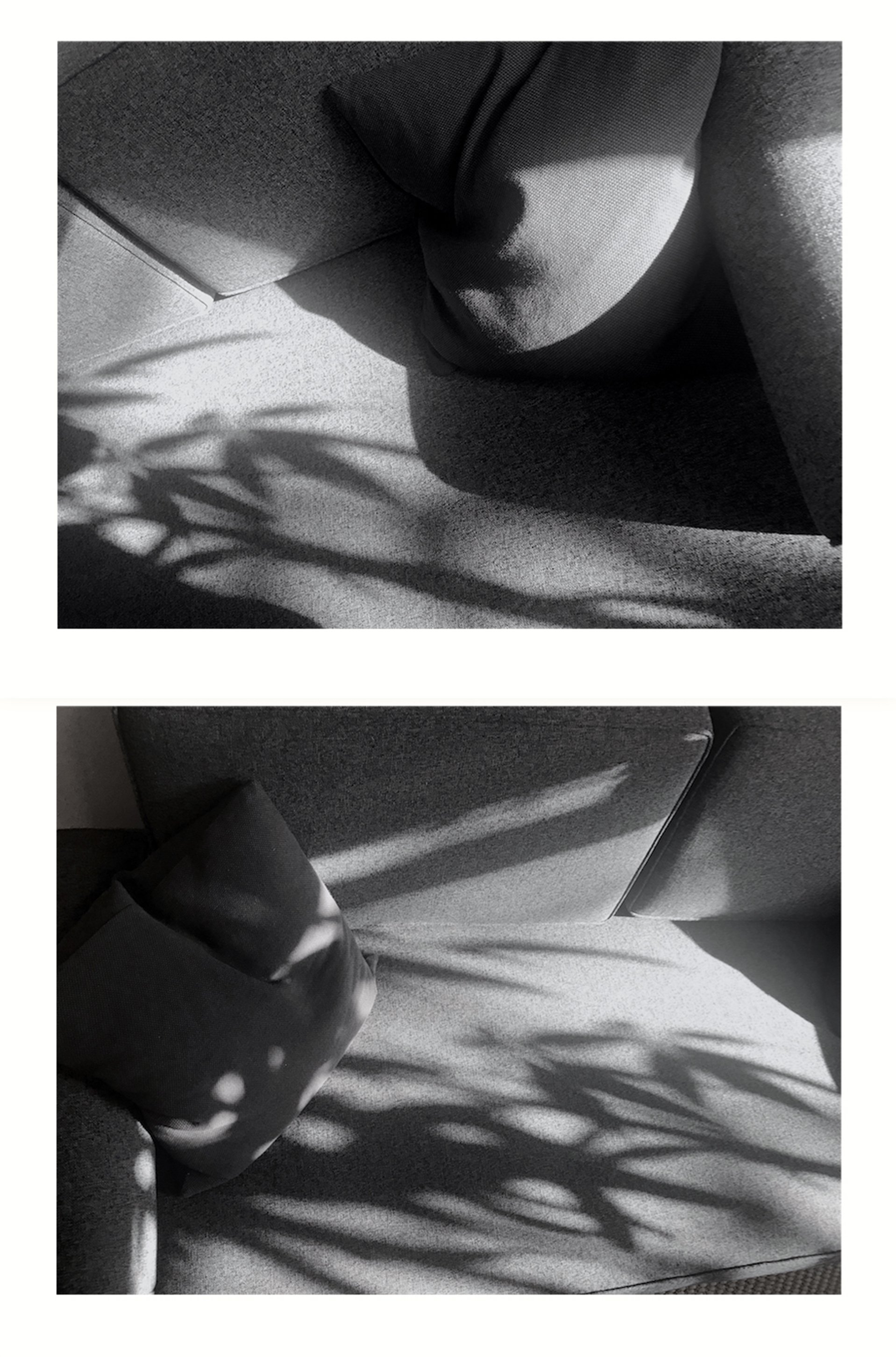 05_Abstractions_Motifs Sofa_N&B_6X8.jpg