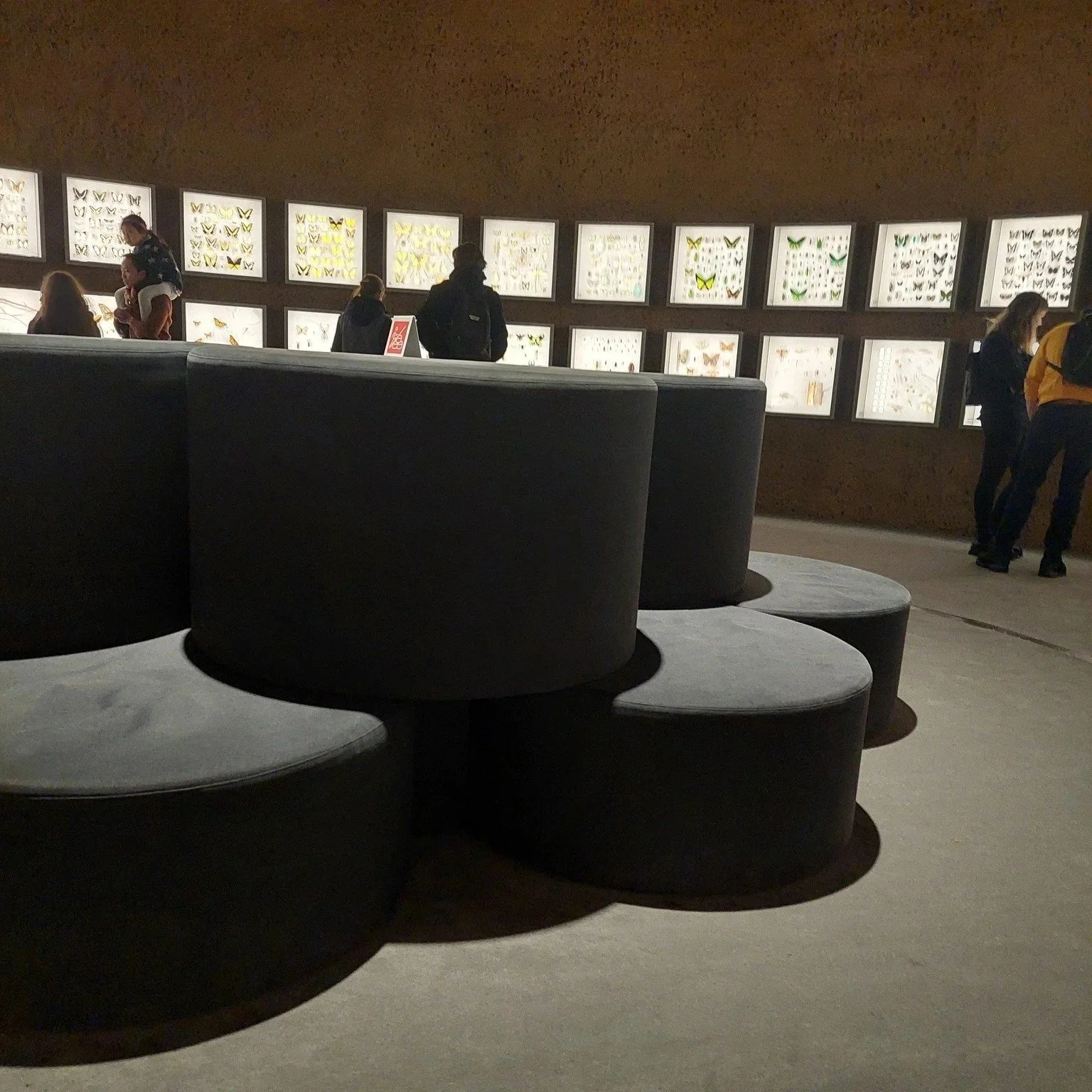 Projet insectarium_Foutu Tissu rembourrage 2.jpg