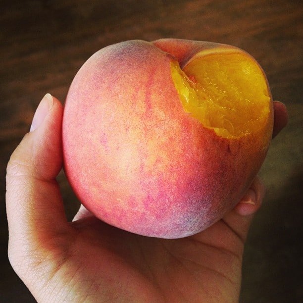 peaches CO.jpeg