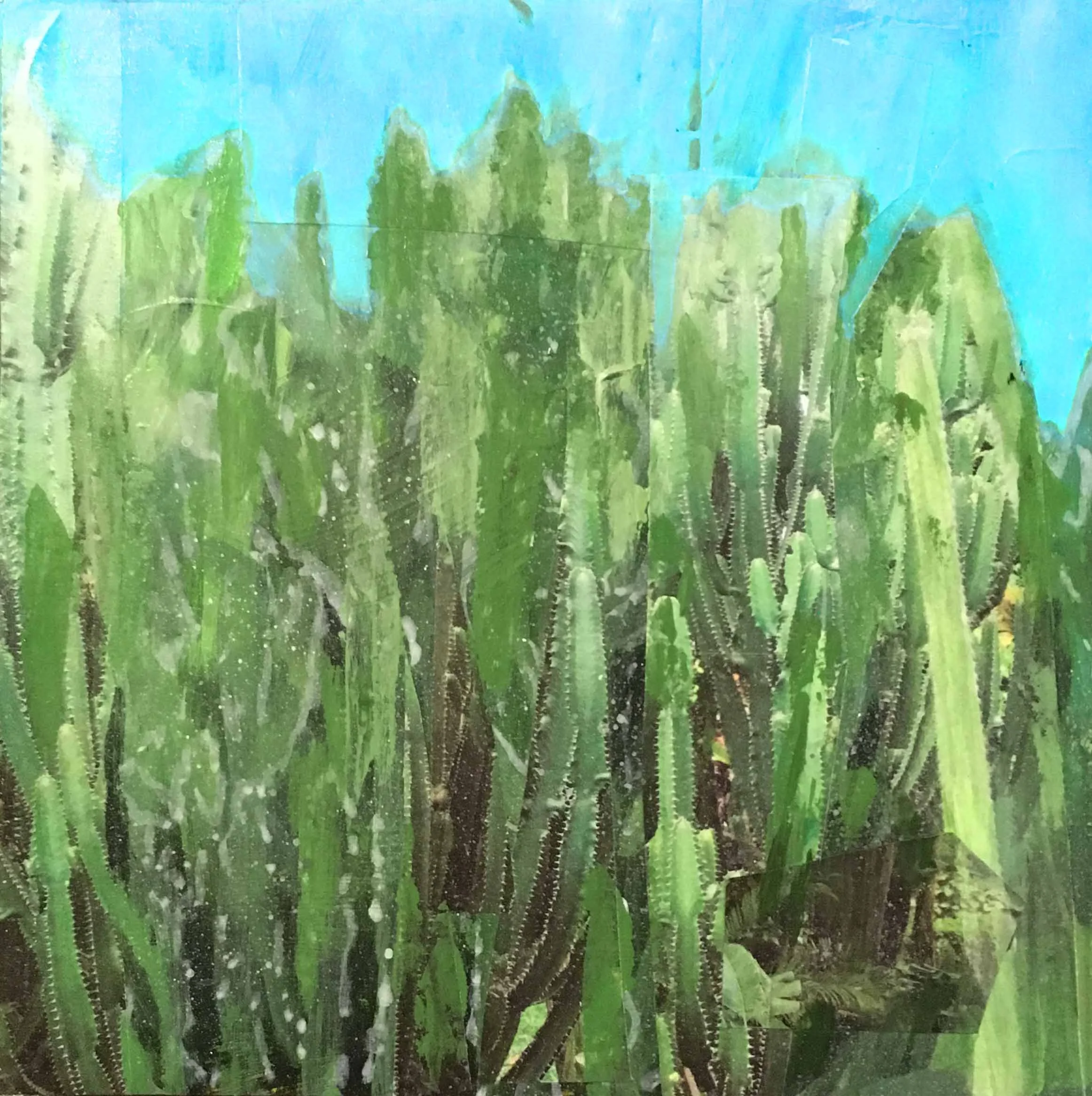 Arbre no29
Acrylique et collage, 8” x 8”, 450 $